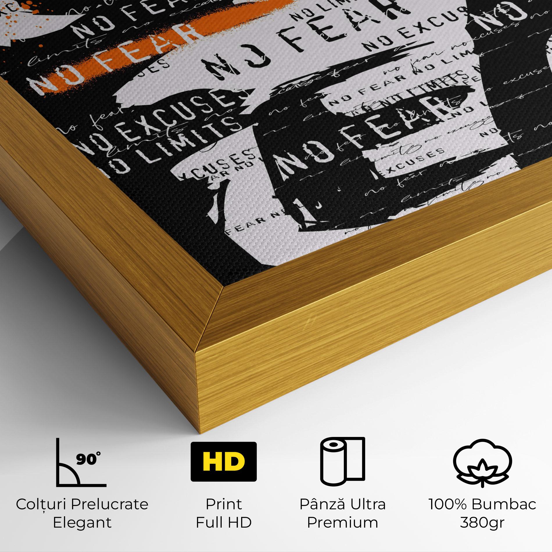 Tablou Canvas No Fear Graffiti mockup 4