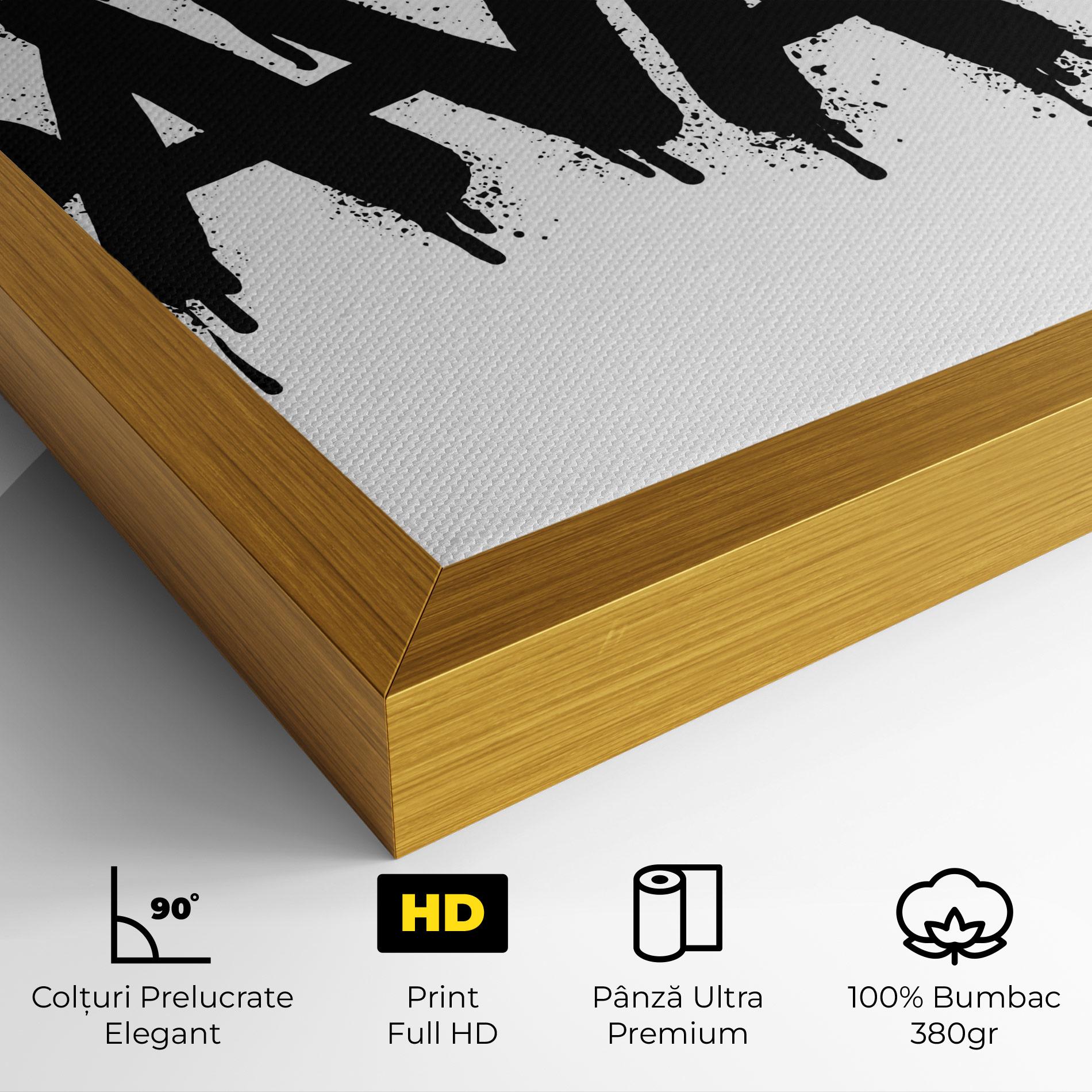 Tablou Canvas Savage Graffiti Spray mockup 4