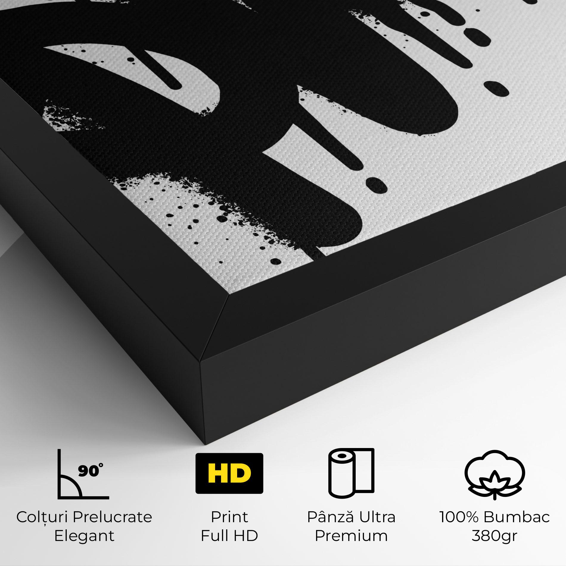 Tablou Canvas Graffiti Savage mockup 4