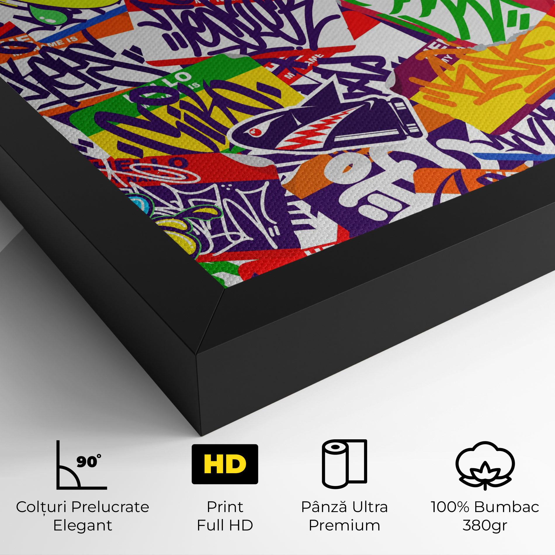 Tablou Canvas Hello Graffiti Name mockup 4