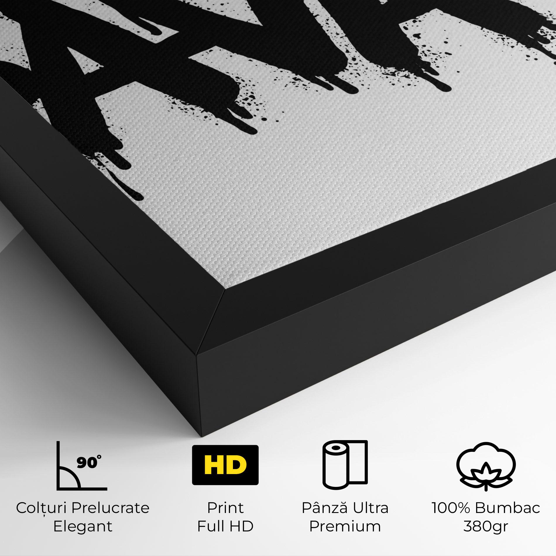 Tablou Canvas Savage Graffiti Spray mockup 4
