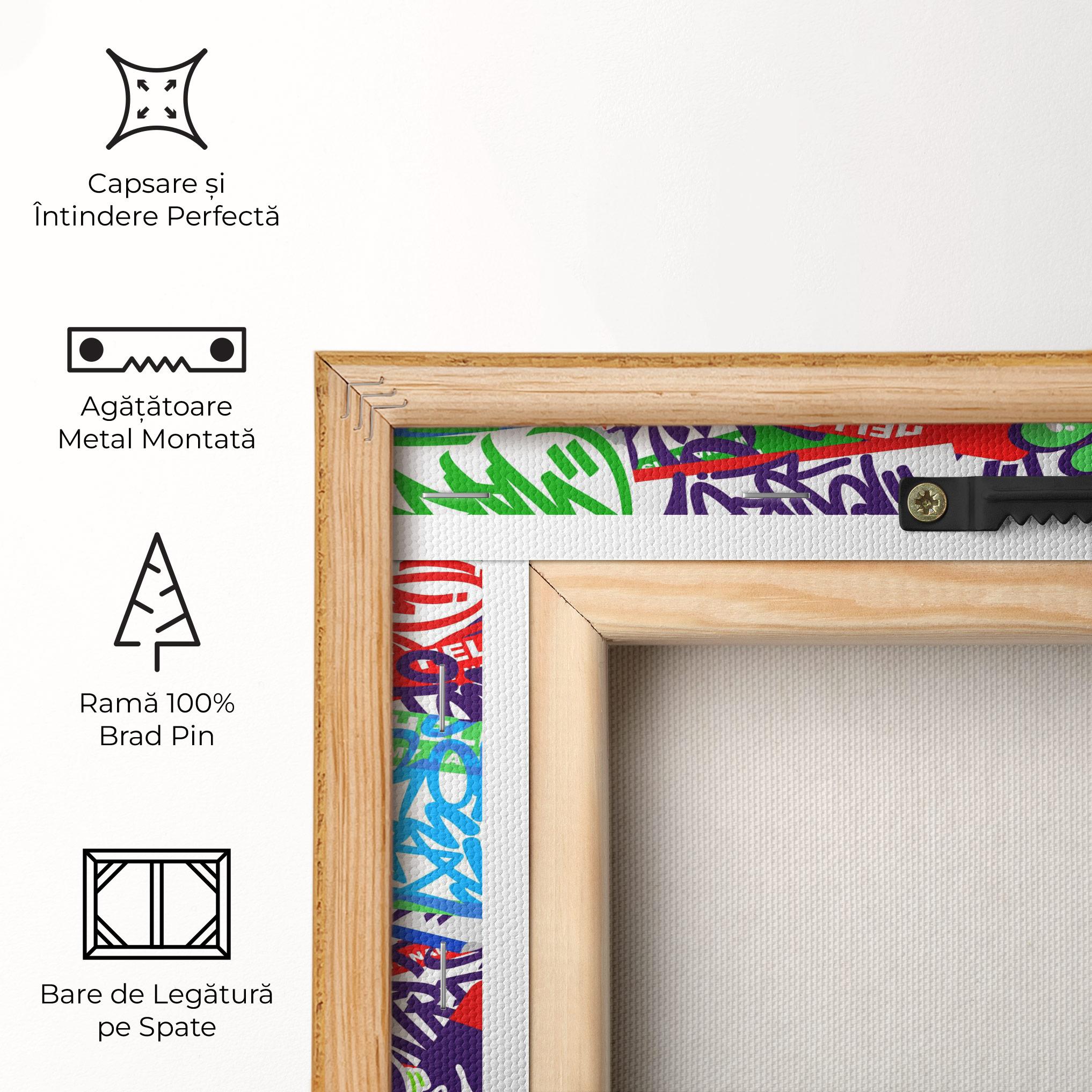 Tablou Canvas Hello Graffiti Name mockup 5