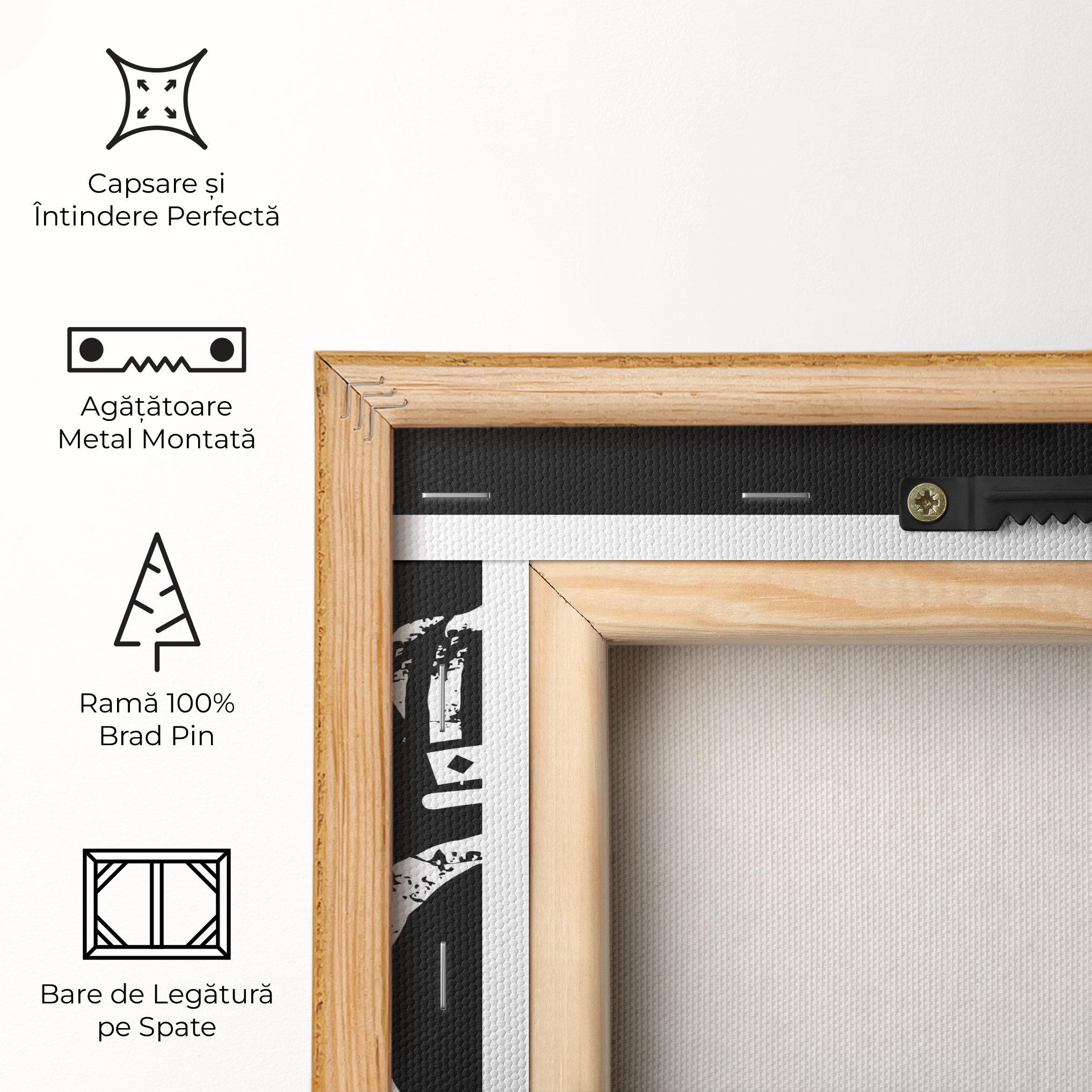 Tablou Canvas King Spray mockup 5