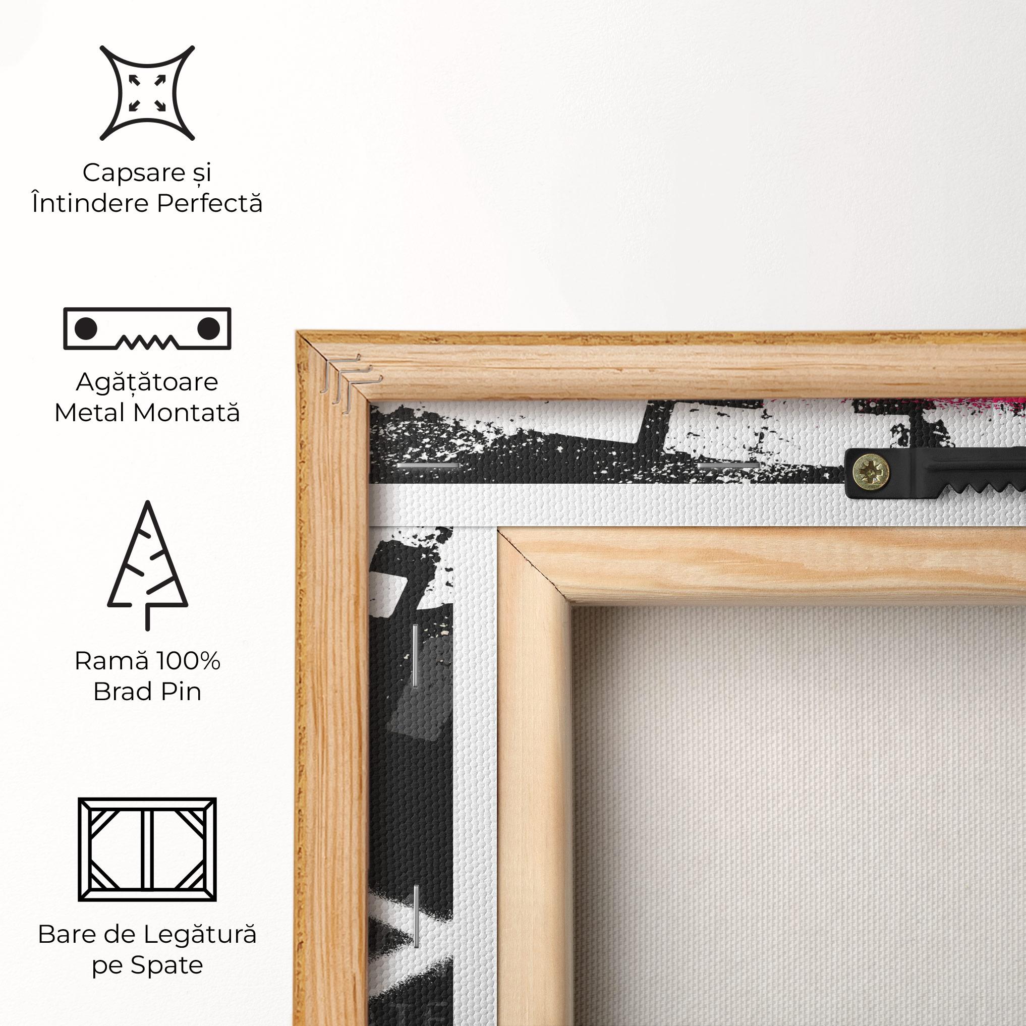 Tablou Canvas Skater Spray mockup 5