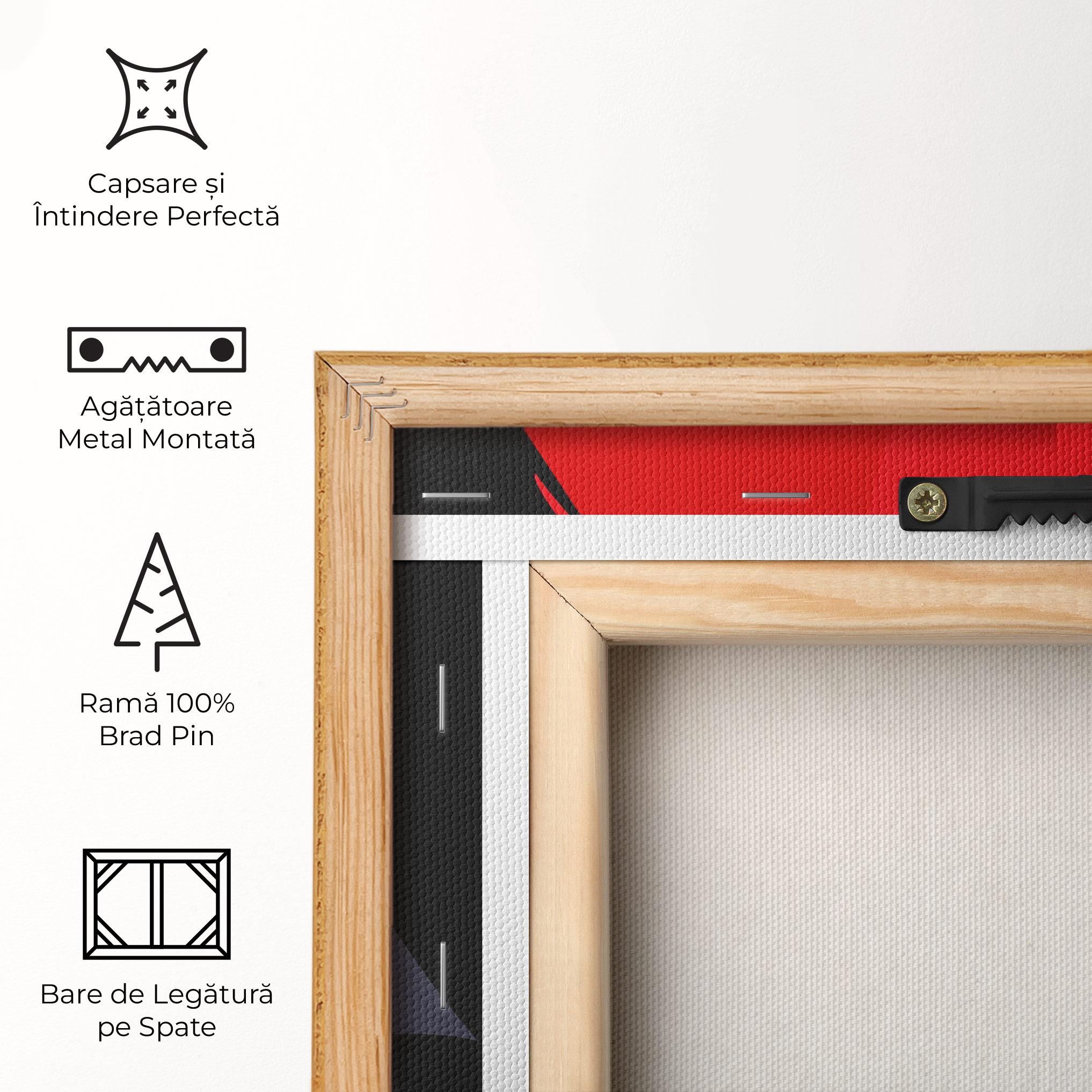 Tablou Canvas Red Pop Hair mockup 5