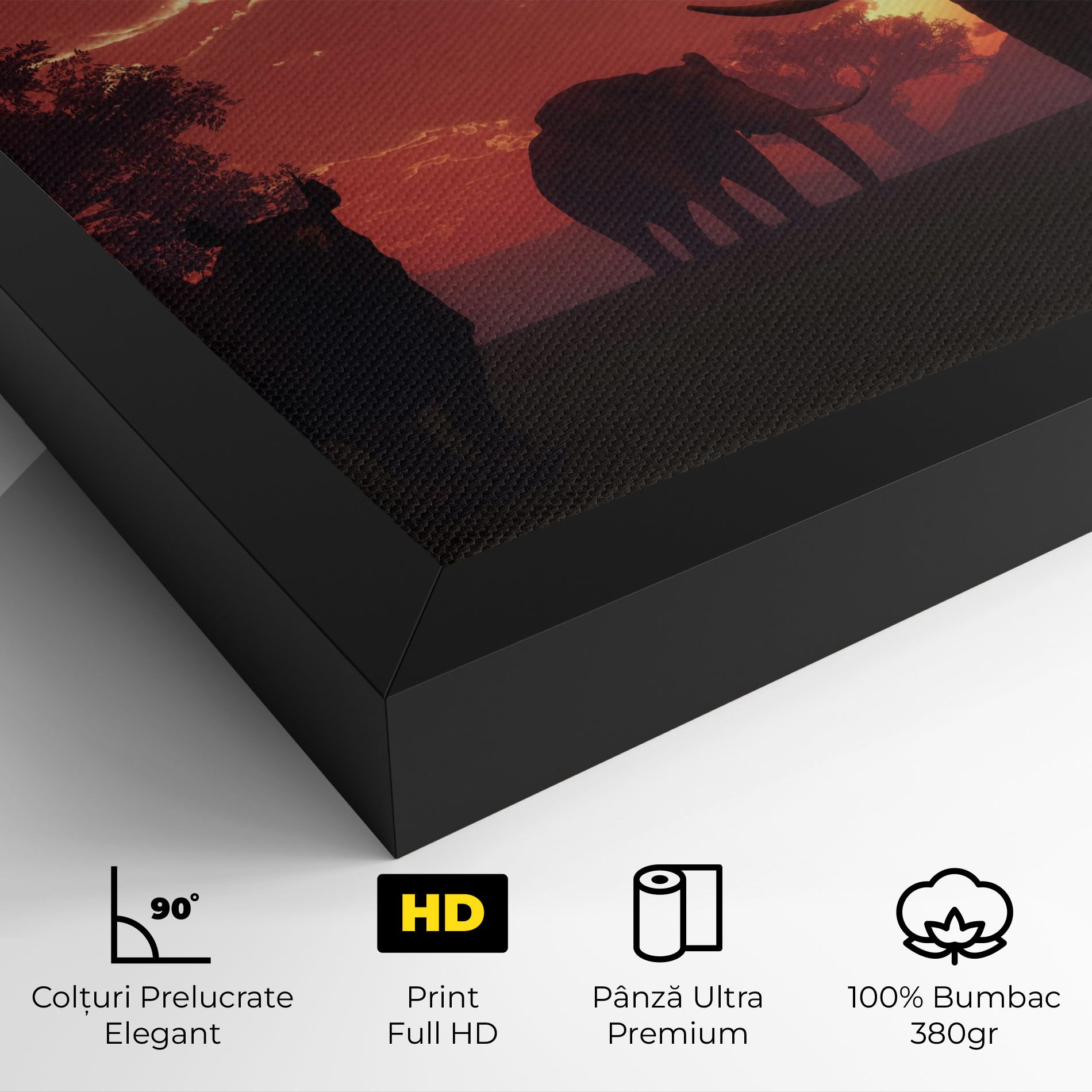 African Elephant View mockup 4