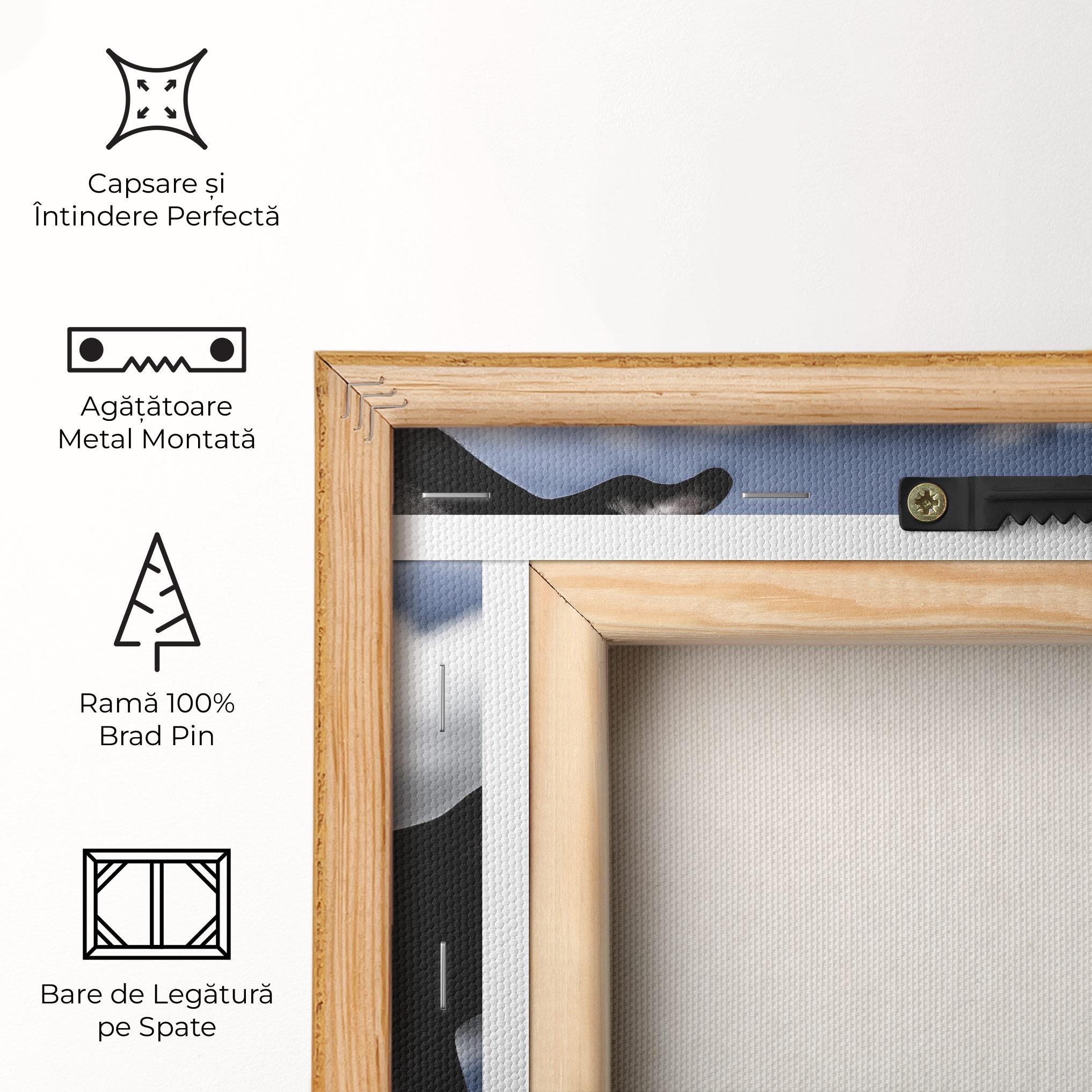 Tablou Canvas African Blue Sky mockup 5