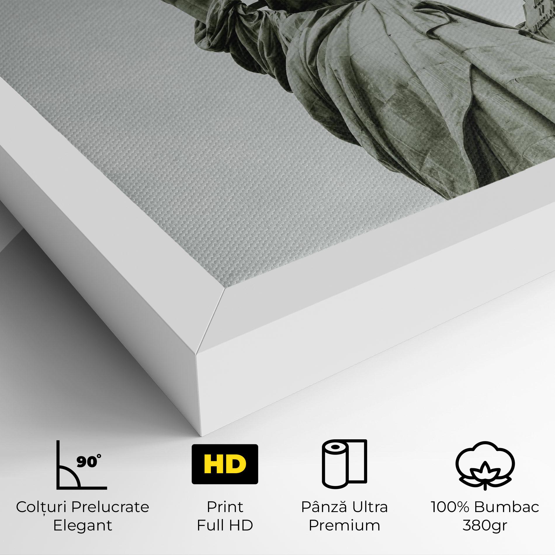 Tablou Canvas Liberty Statue Day mockup 4