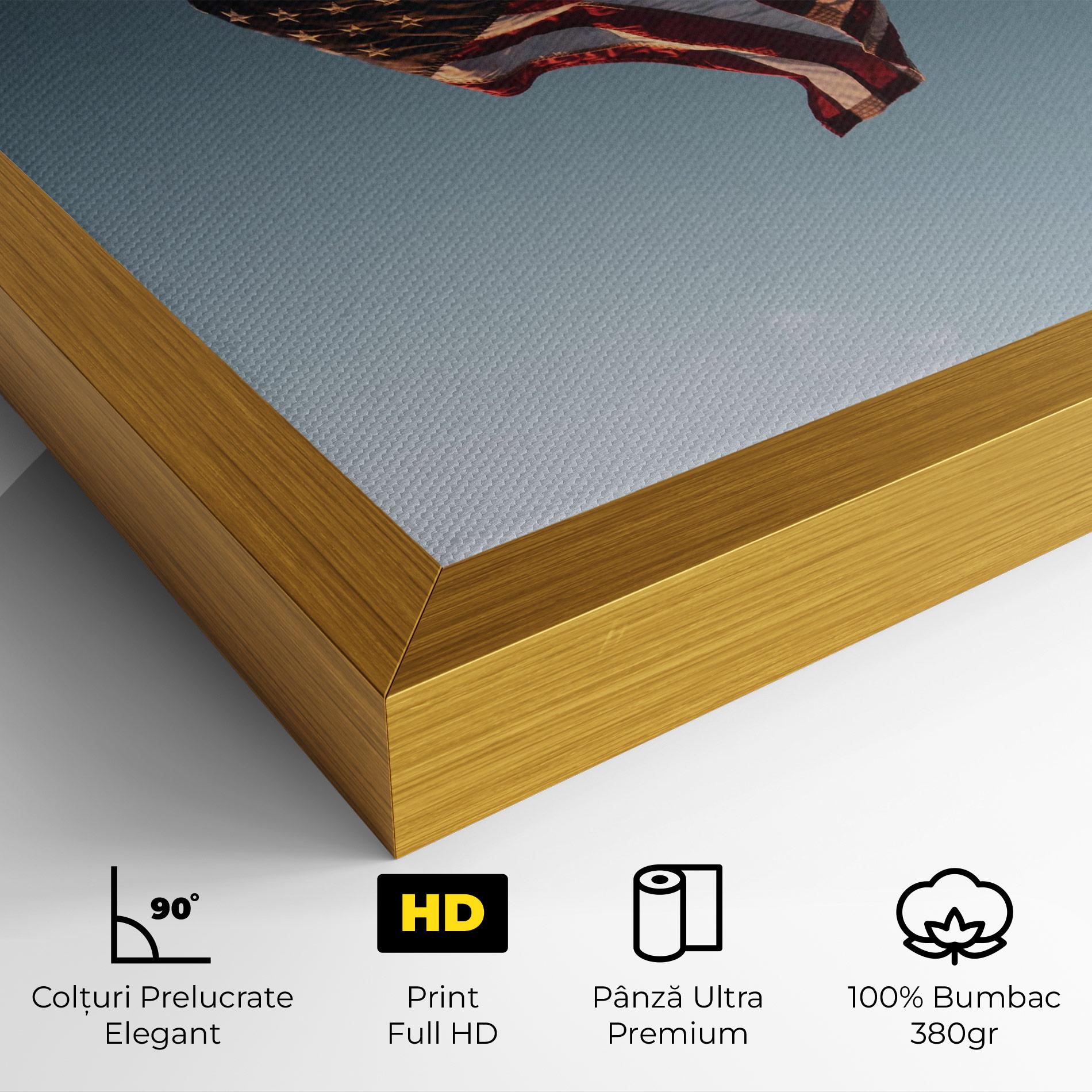 Tablou Canvas Usa Flag mockup 4