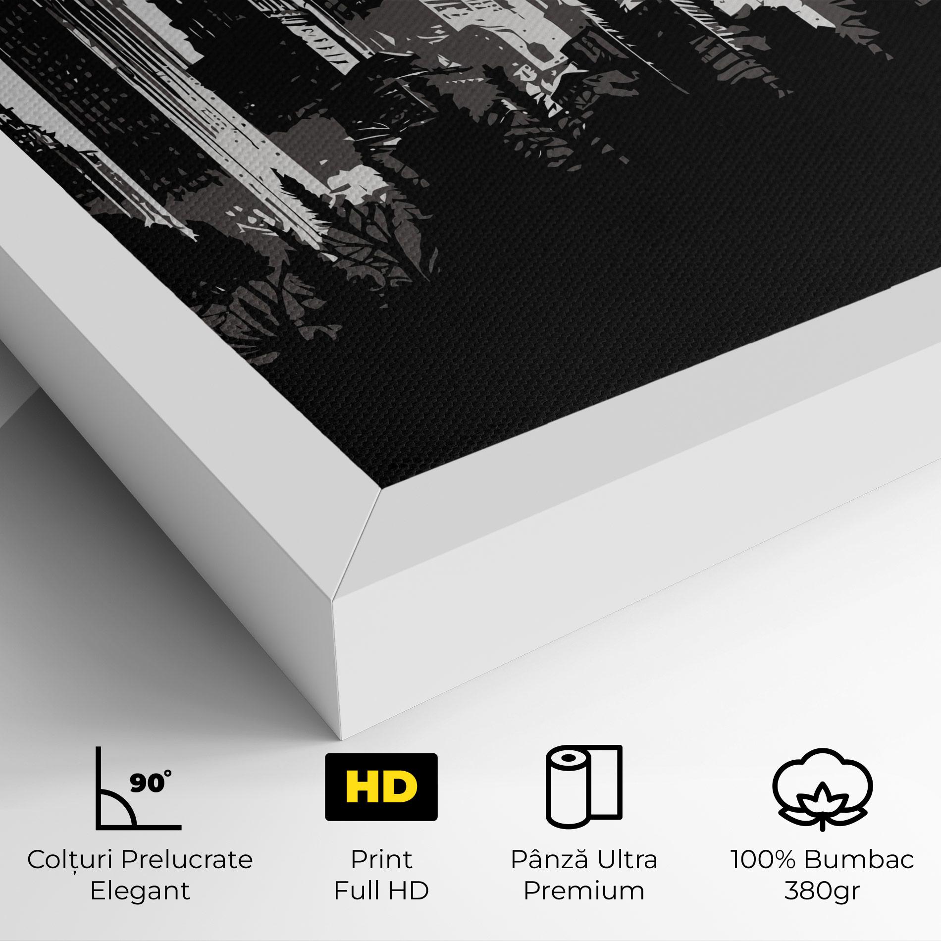 Tablou Canvas Australia Moon mockup 4