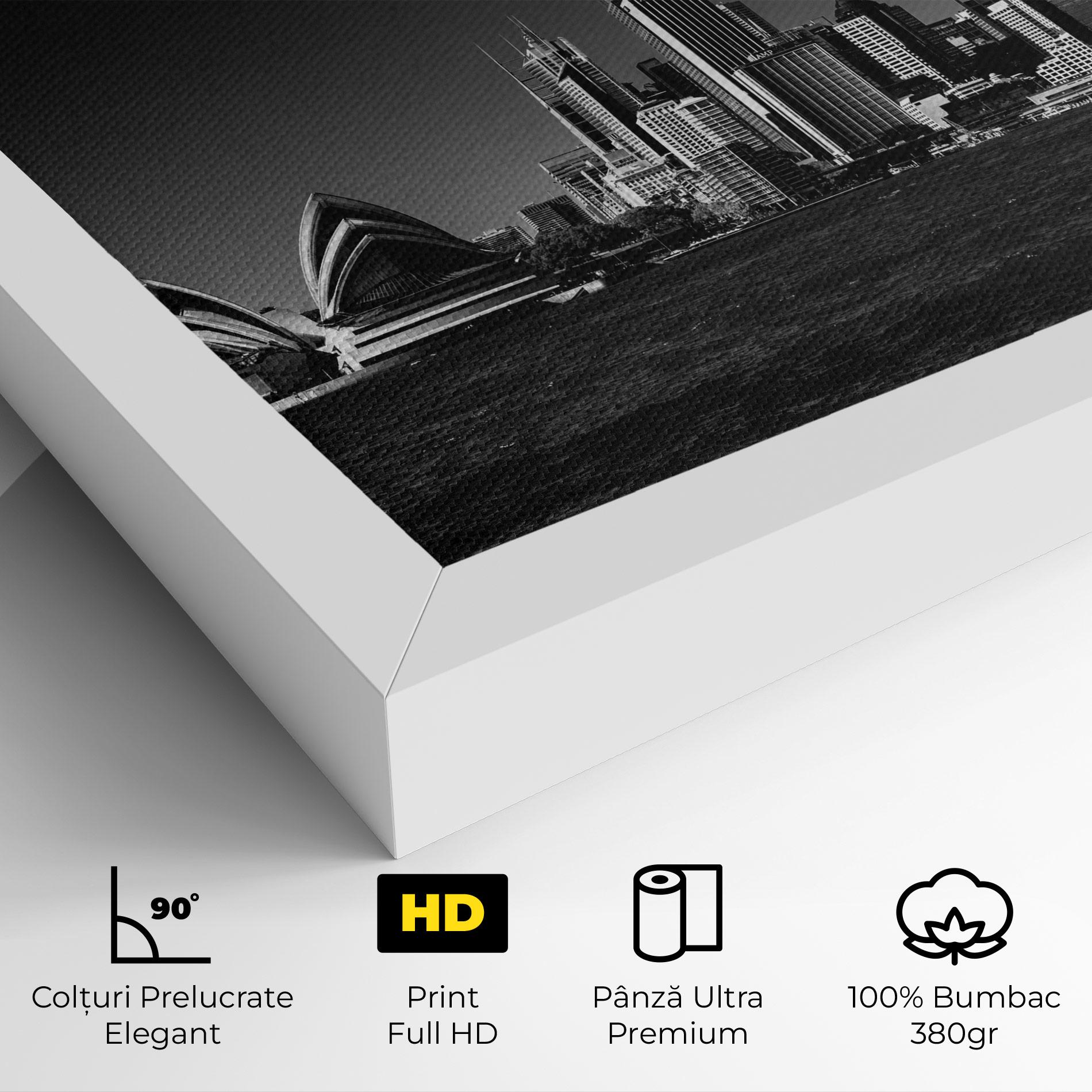 Tablou Canvas Grey Sidnew mockup 4