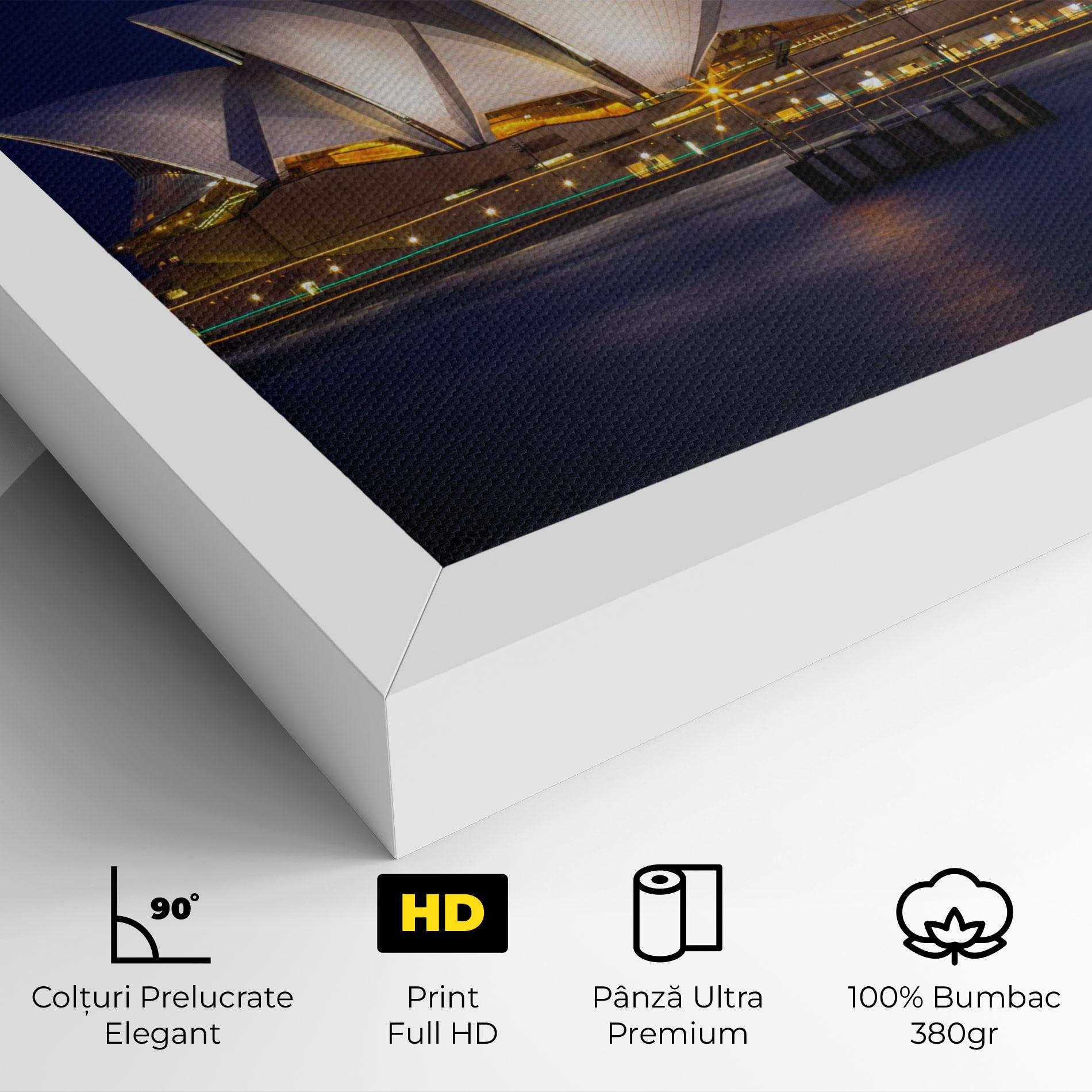 Tablou Canvas Opera House View mockup 4