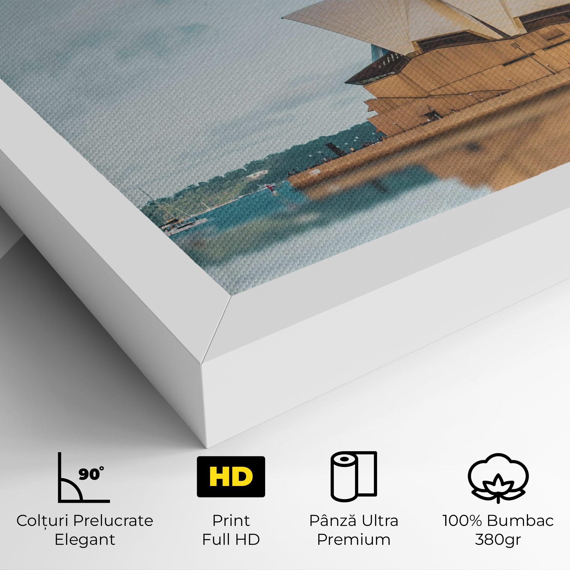 Tablou Canvas Sydney Water mockup 4