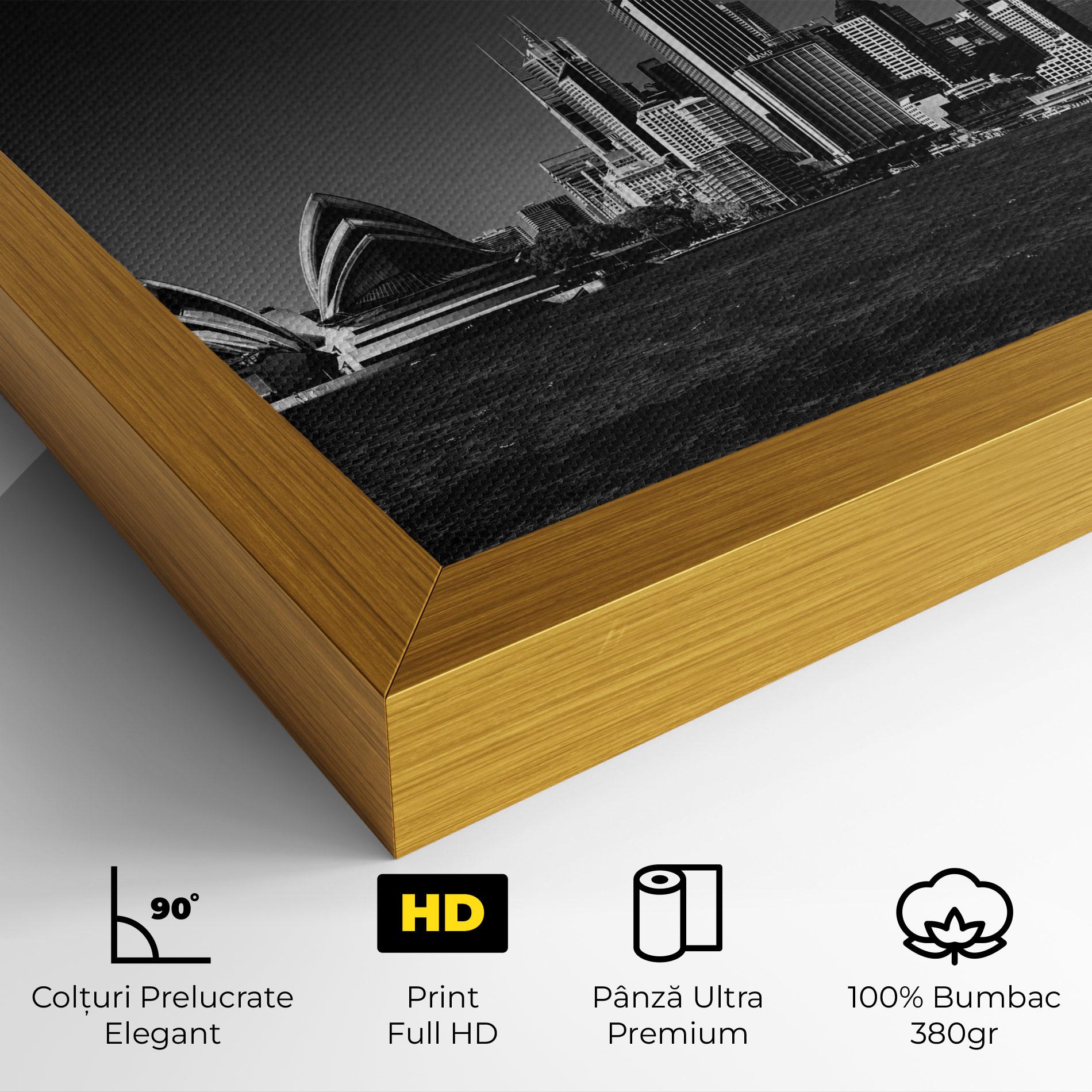 Tablou Canvas Grey Sidnew mockup 4