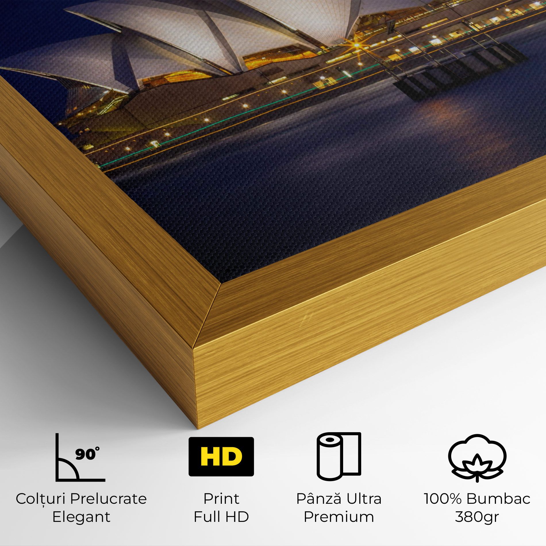 Opera House View mockup 4
