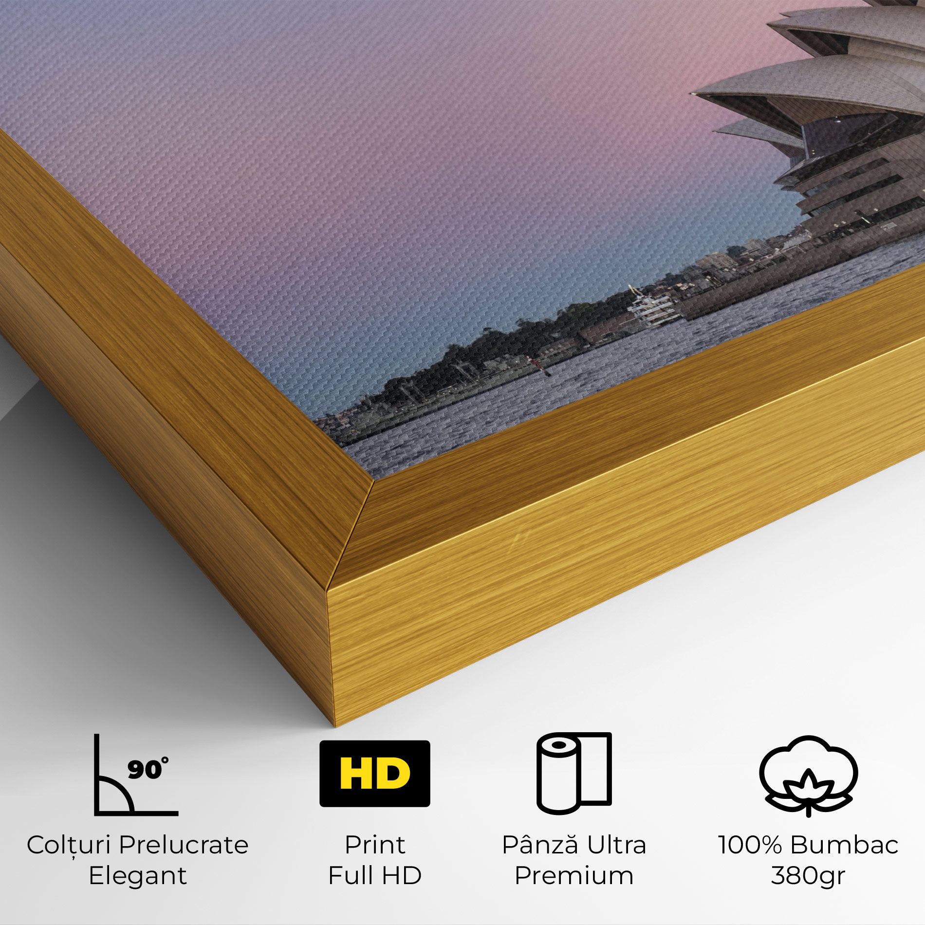 Sydney Purple Sky mockup 4