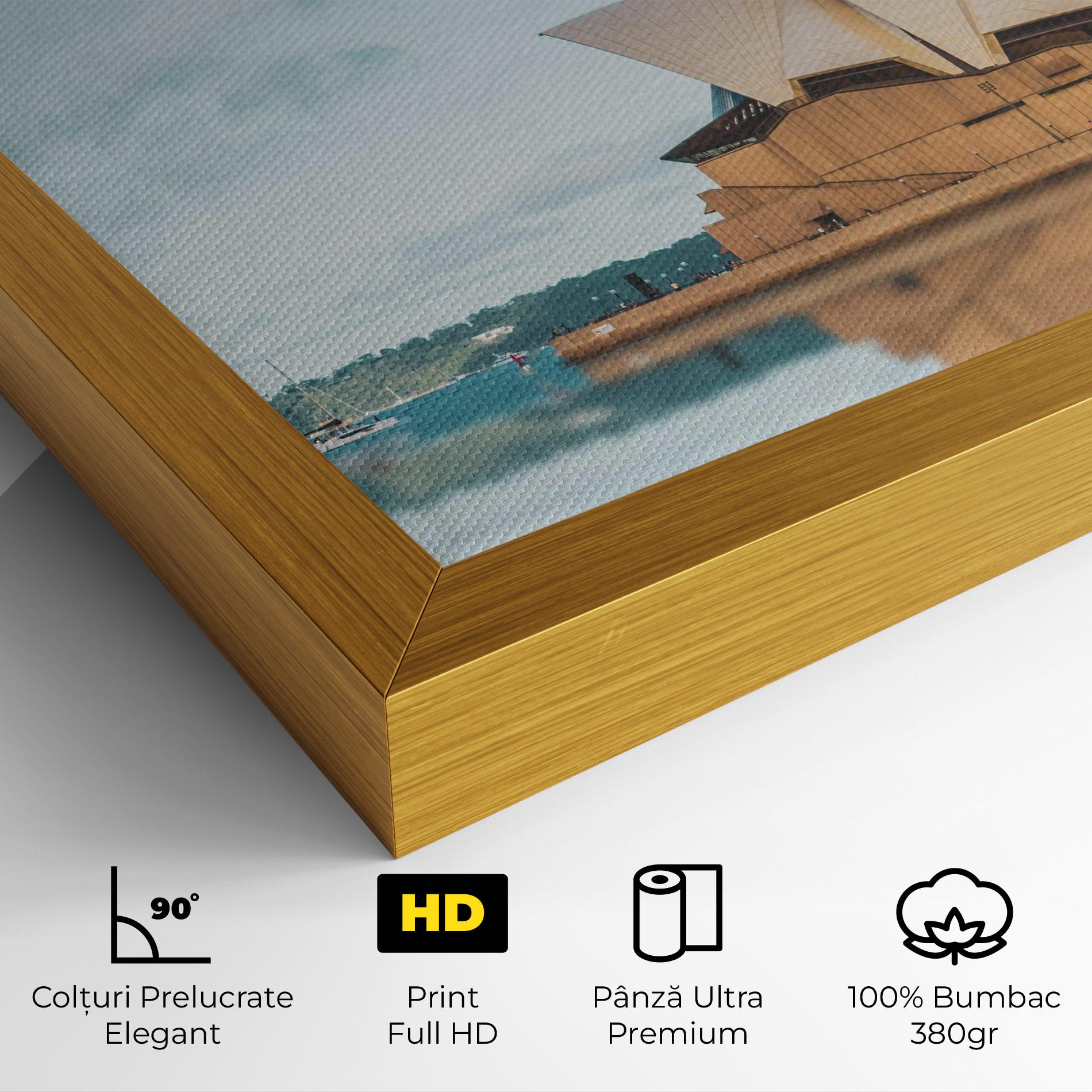 Tablou Canvas Sydney Water mockup 4
