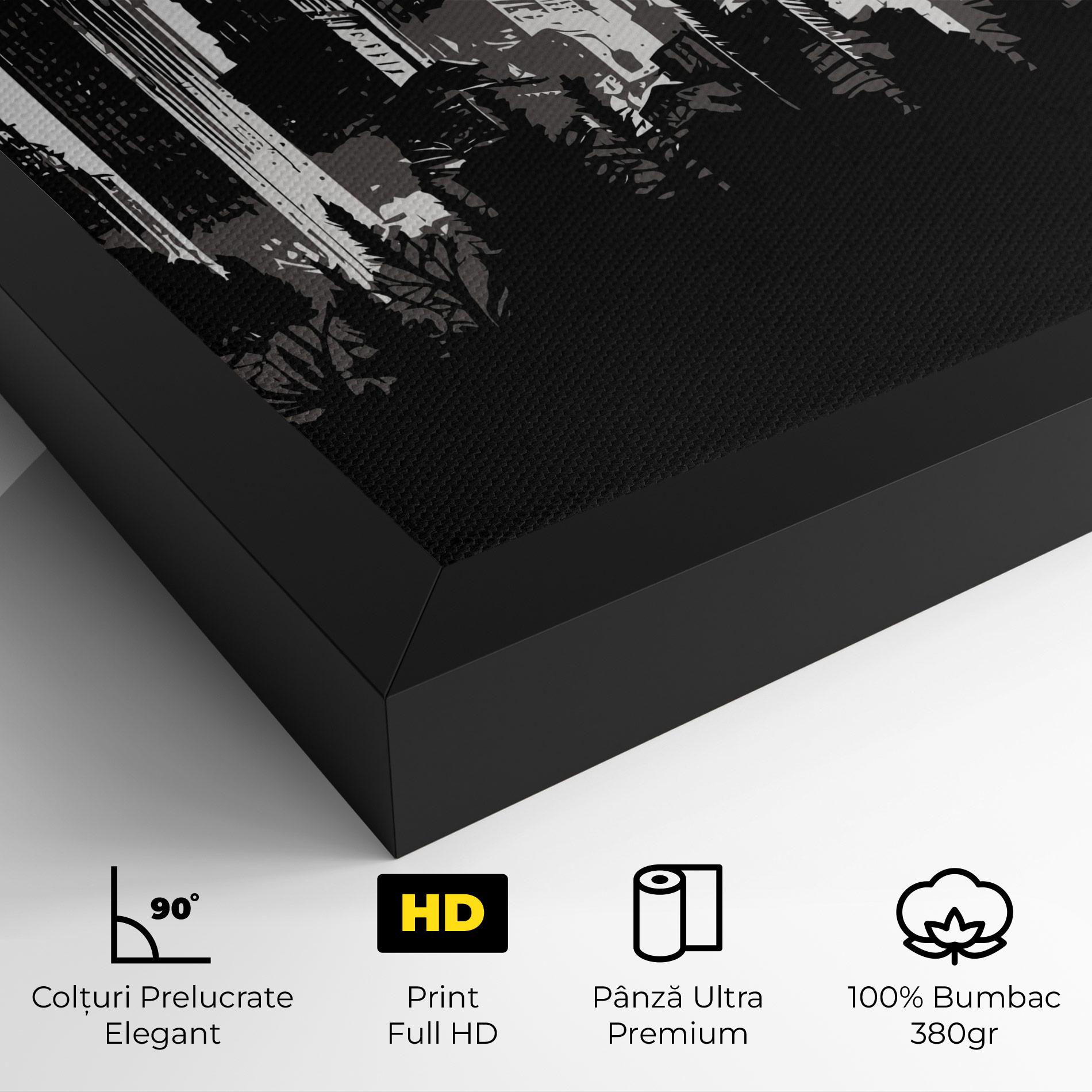 Tablou Canvas Australia Moon mockup 4