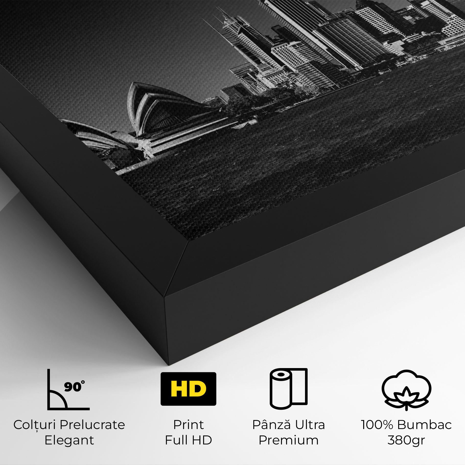 Tablou Canvas Grey Sidnew mockup 4