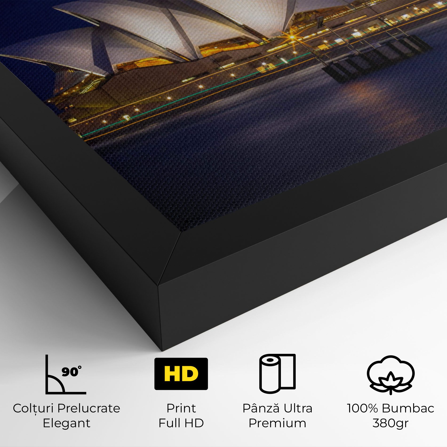 Opera House View mockup 4