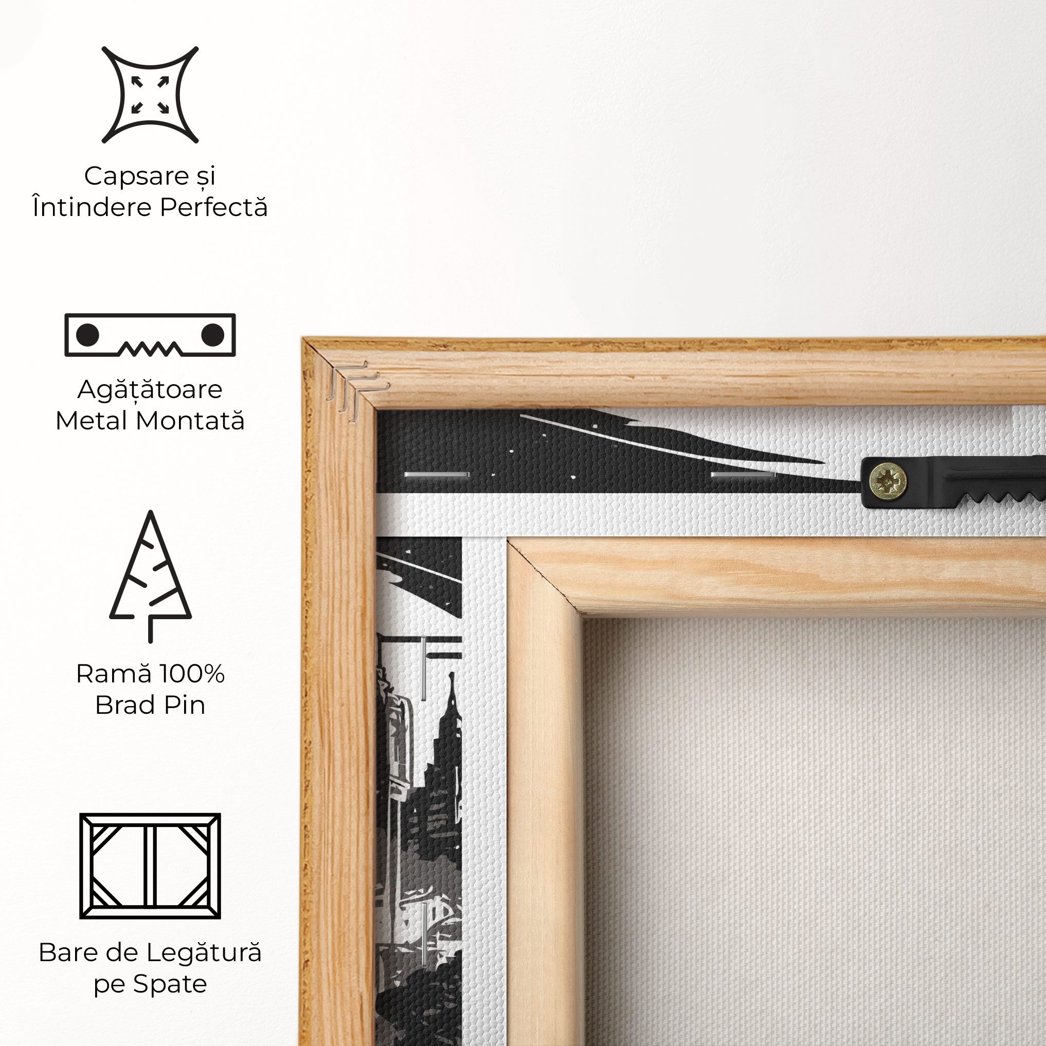 Australia Moon mockup 5