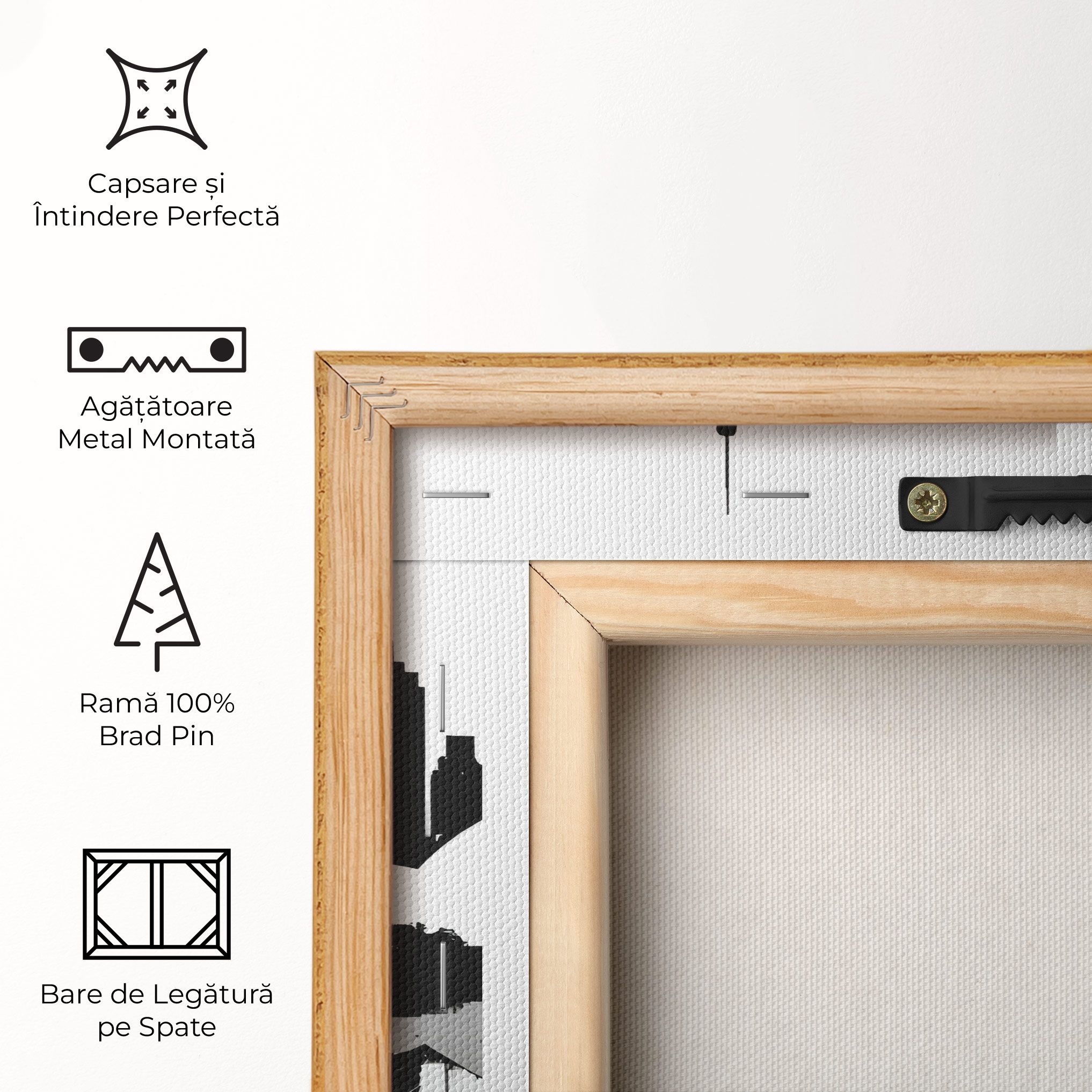 Opera House Art mockup 5