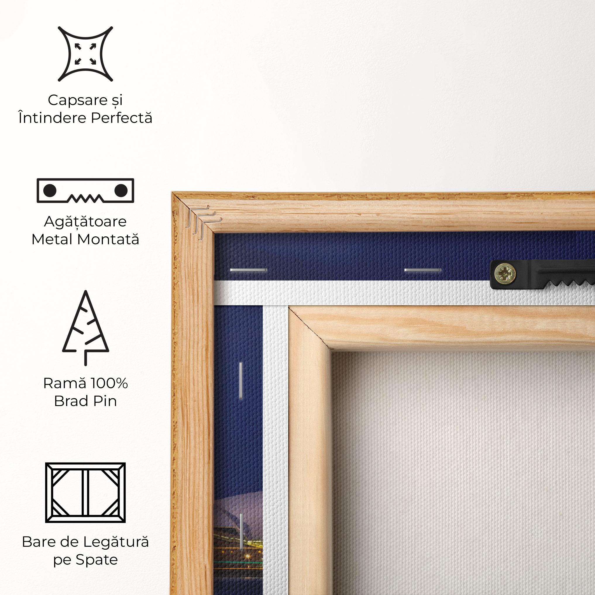 Tablou Canvas Opera House View mockup 5