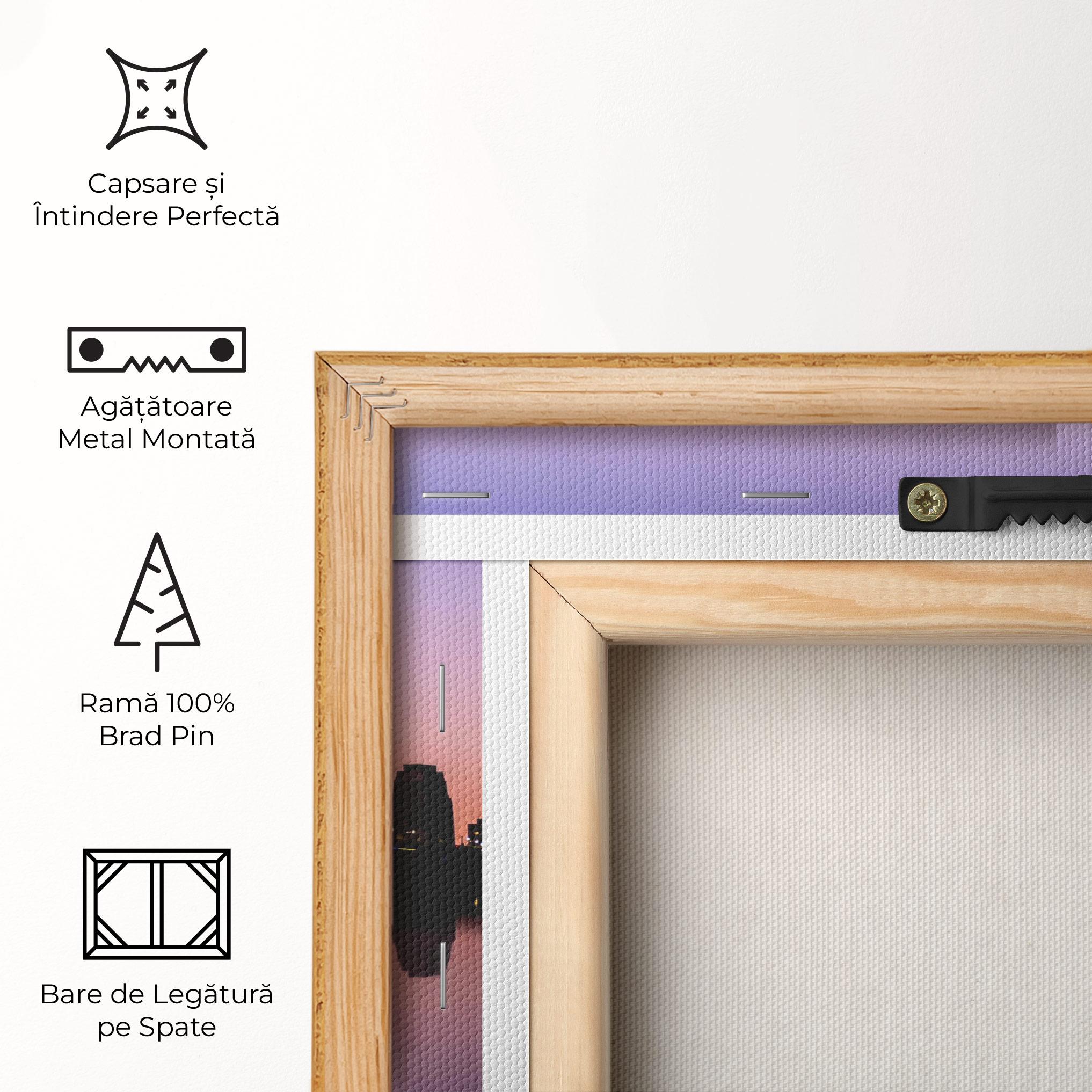 Tablou Canvas Purple Night Sydney mockup 5