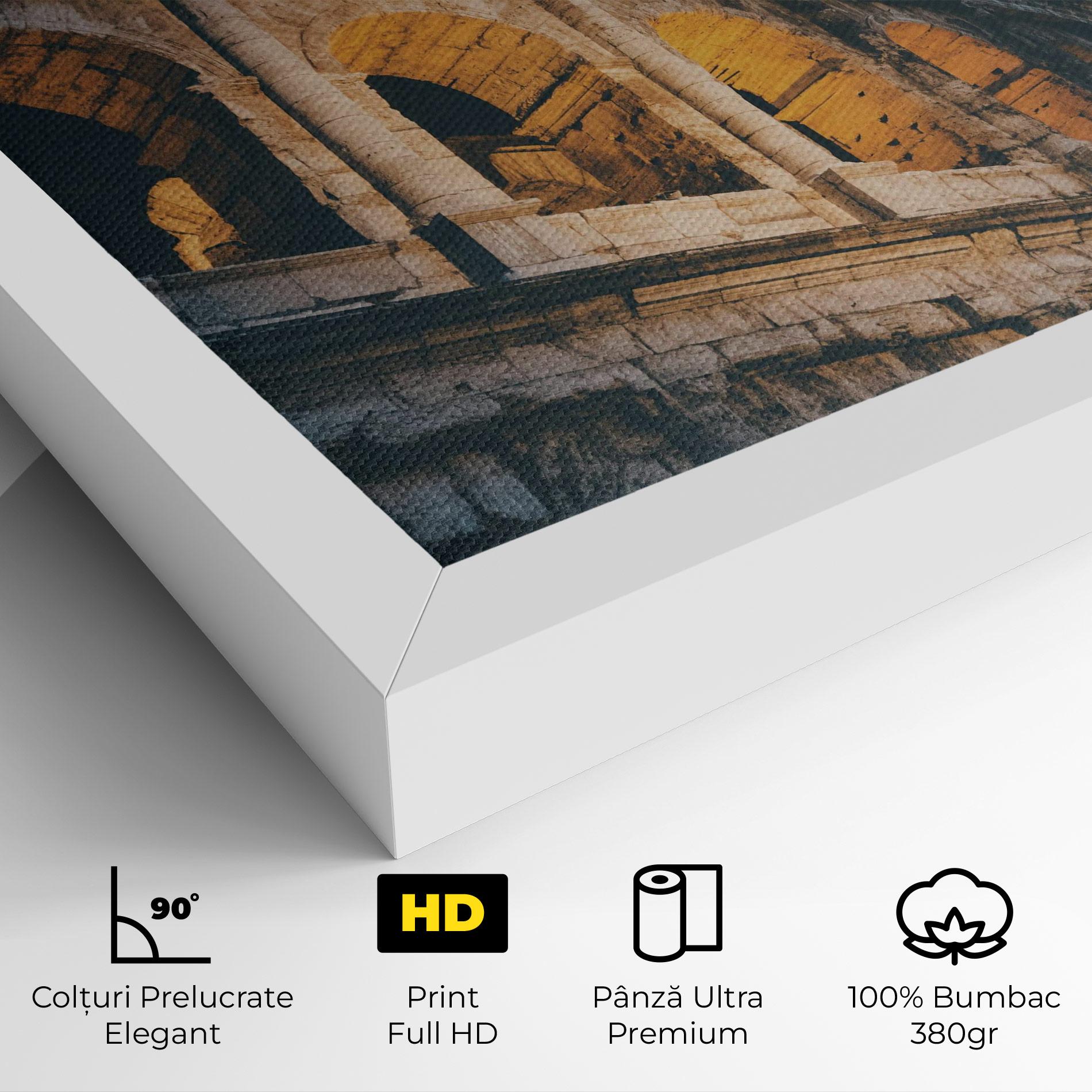 Tablou Canvas Shadow Colosseum mockup 4