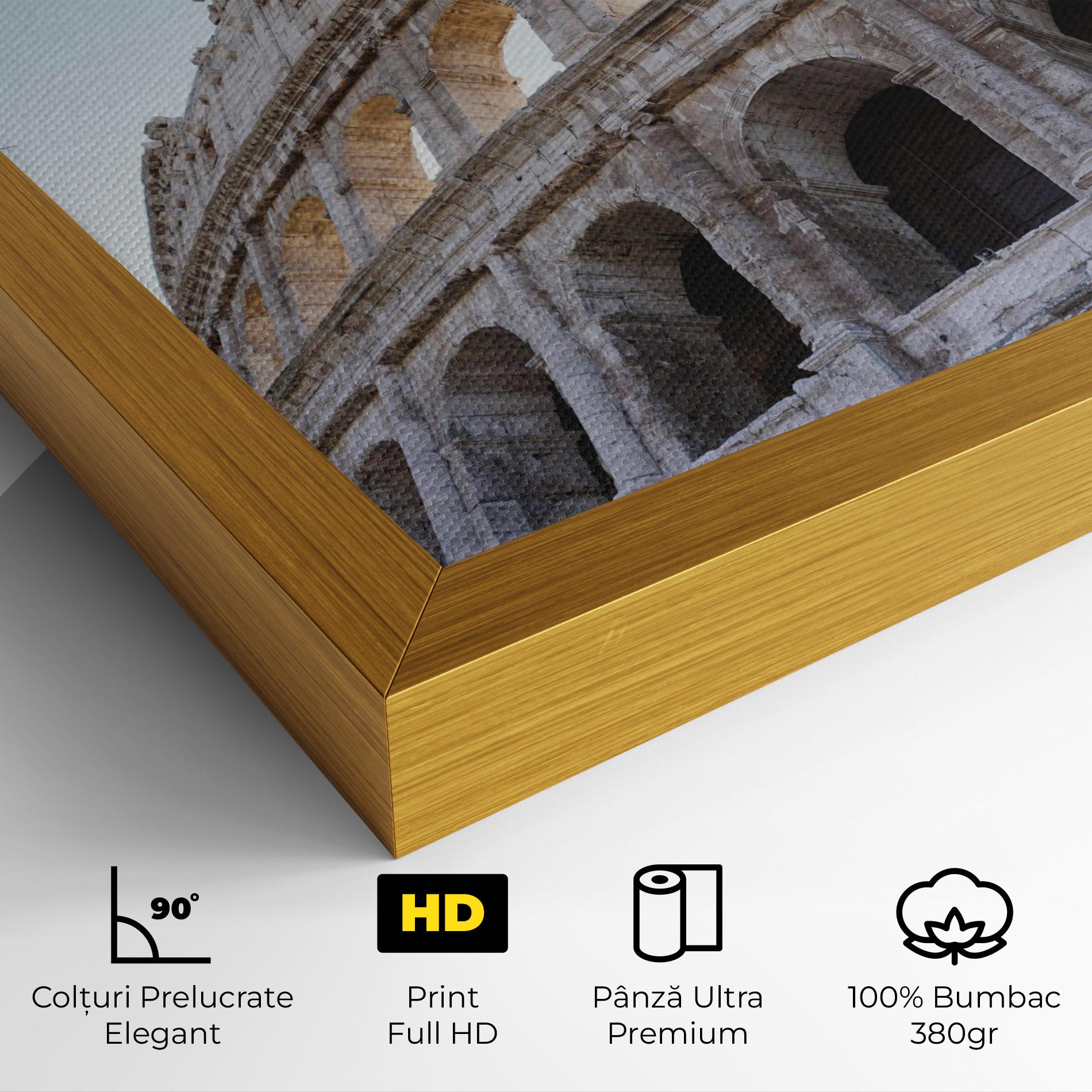 Tablou Canvas Colosseum View mockup 4