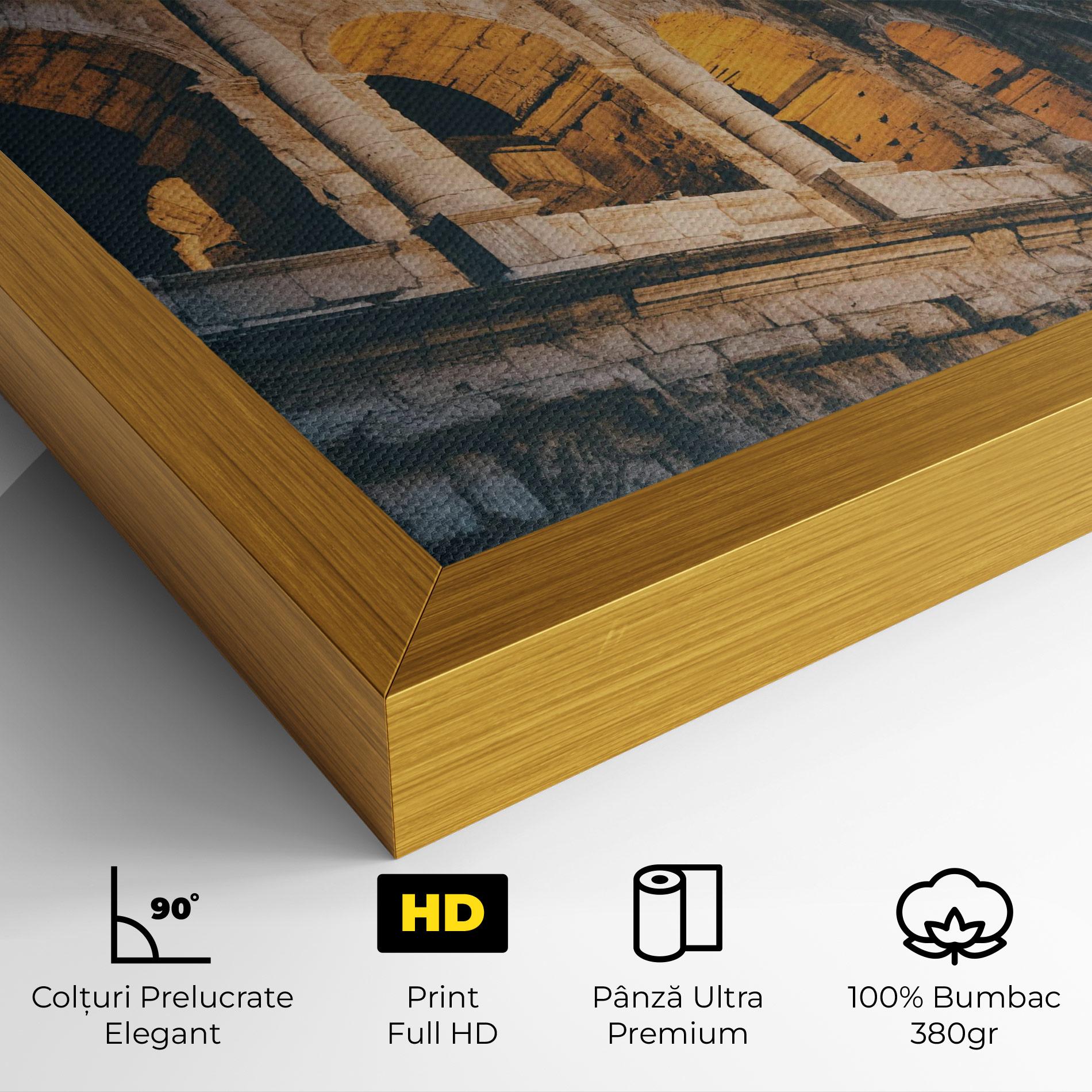 Tablou Canvas Shadow Colosseum mockup 4