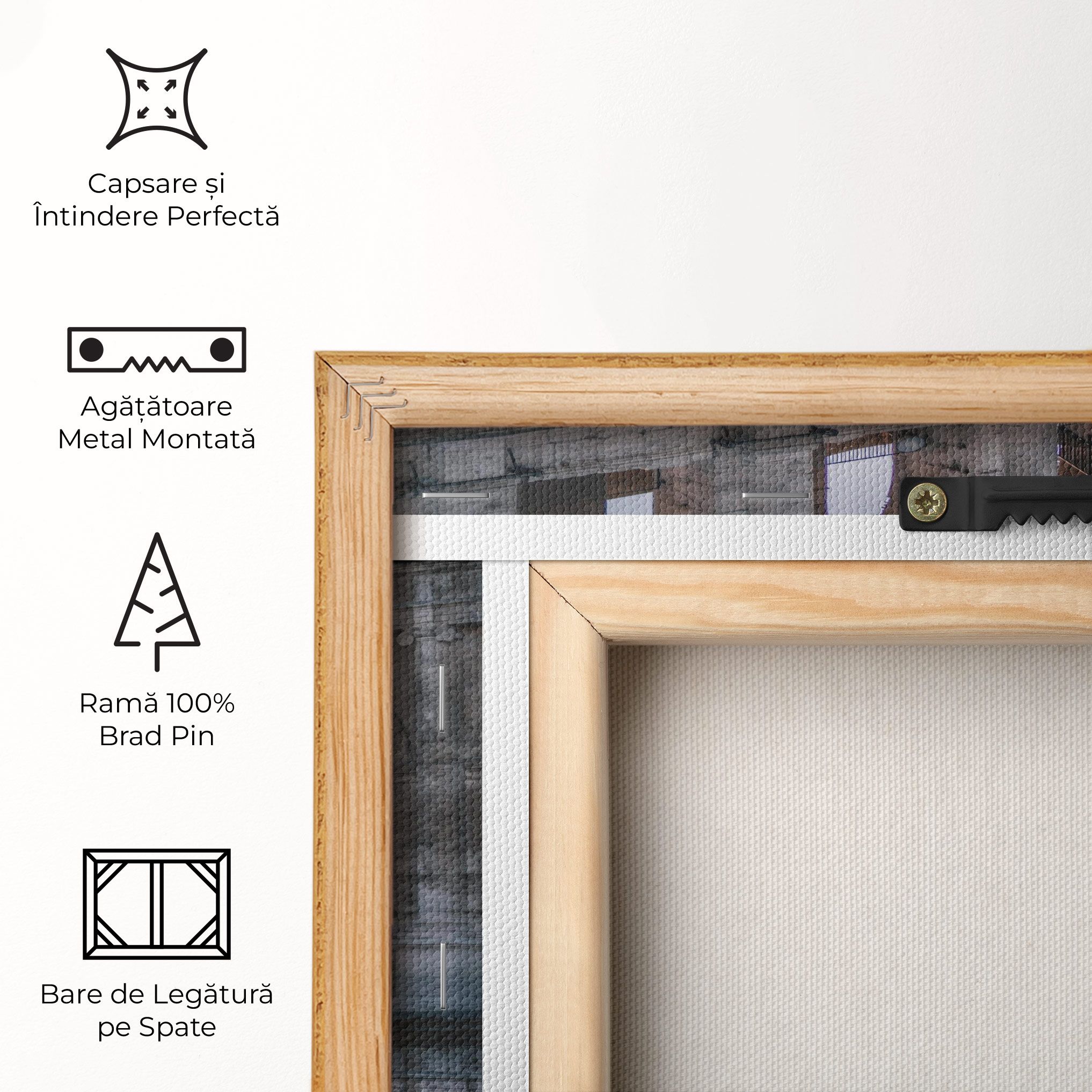 Colosseum Roma mockup 5