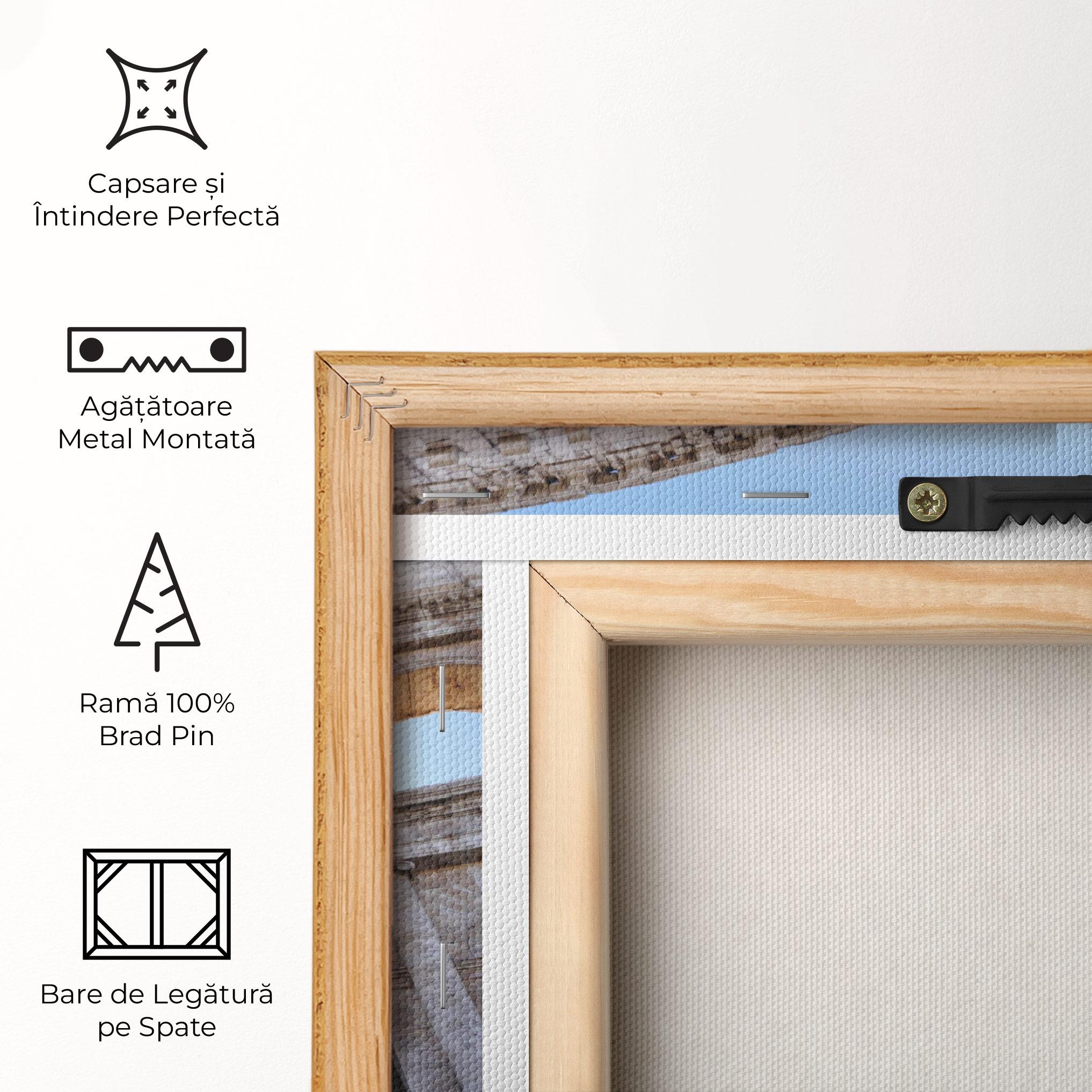 Tablou Canvas Colosseum View mockup 5