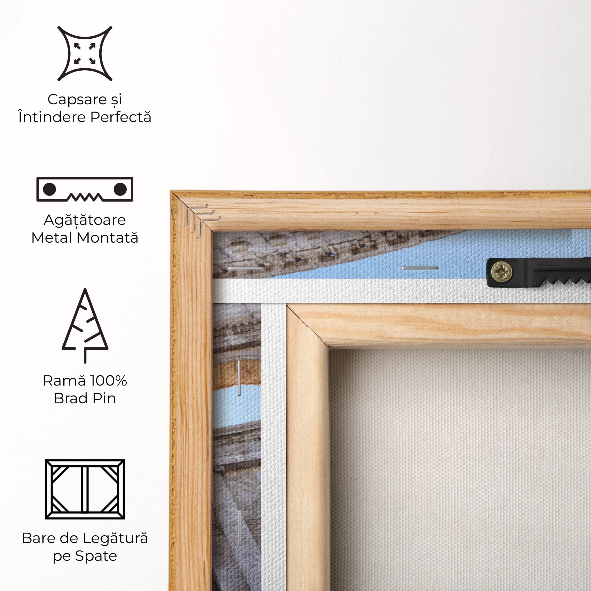 Colosseum View mockup 5