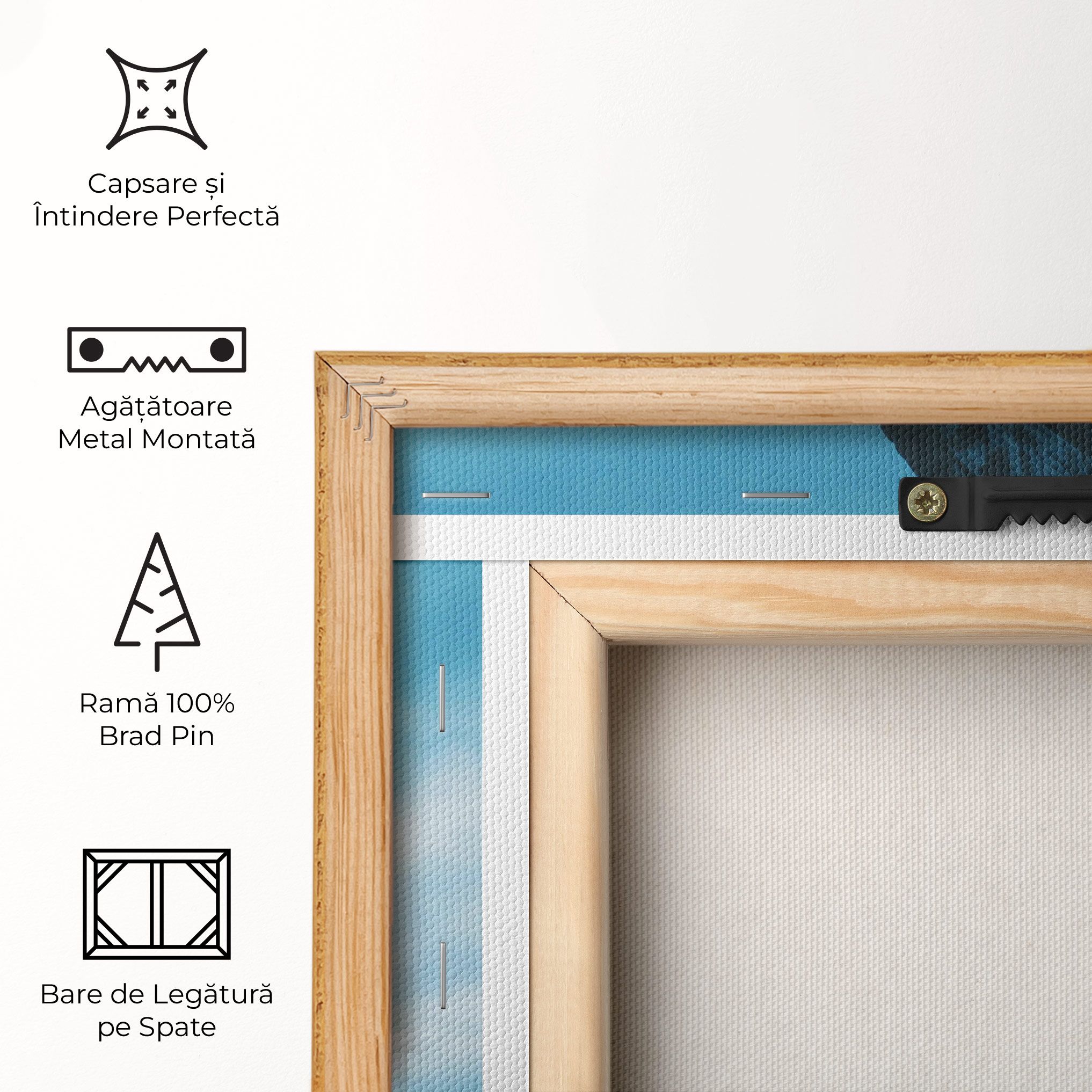 Shadow Colosseum mockup 5