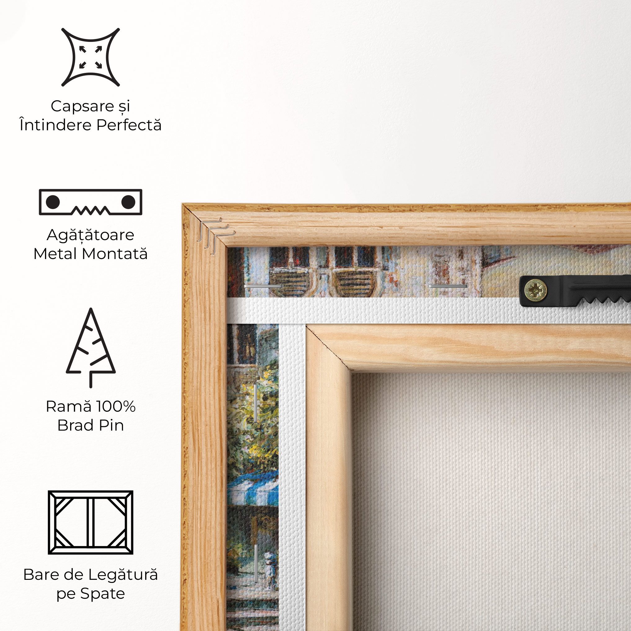 Venice Colors mockup 5