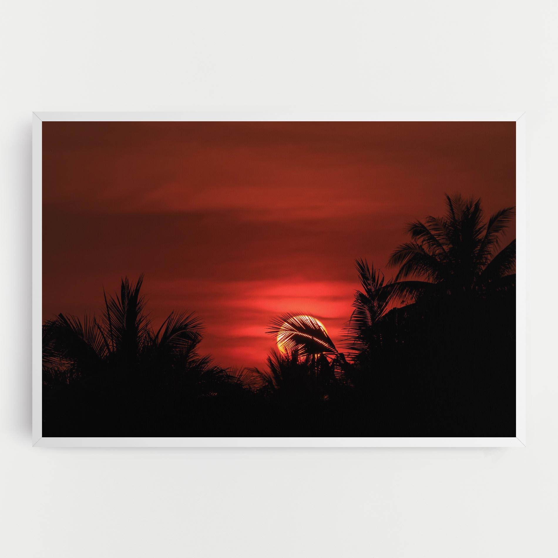 Tablou Canvas Coconuts Tree Sunset mockup 0