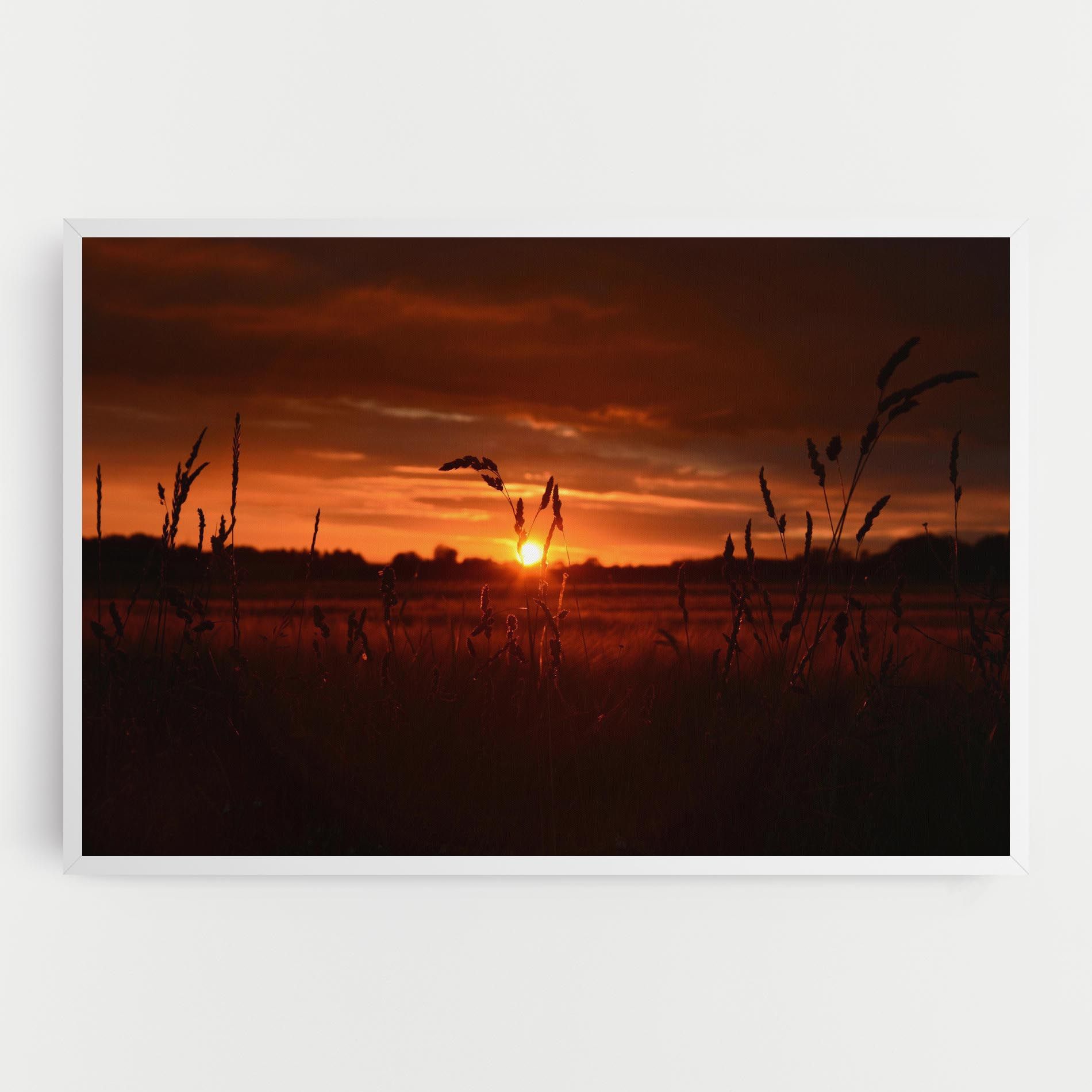 Field Shilouette mockup 0