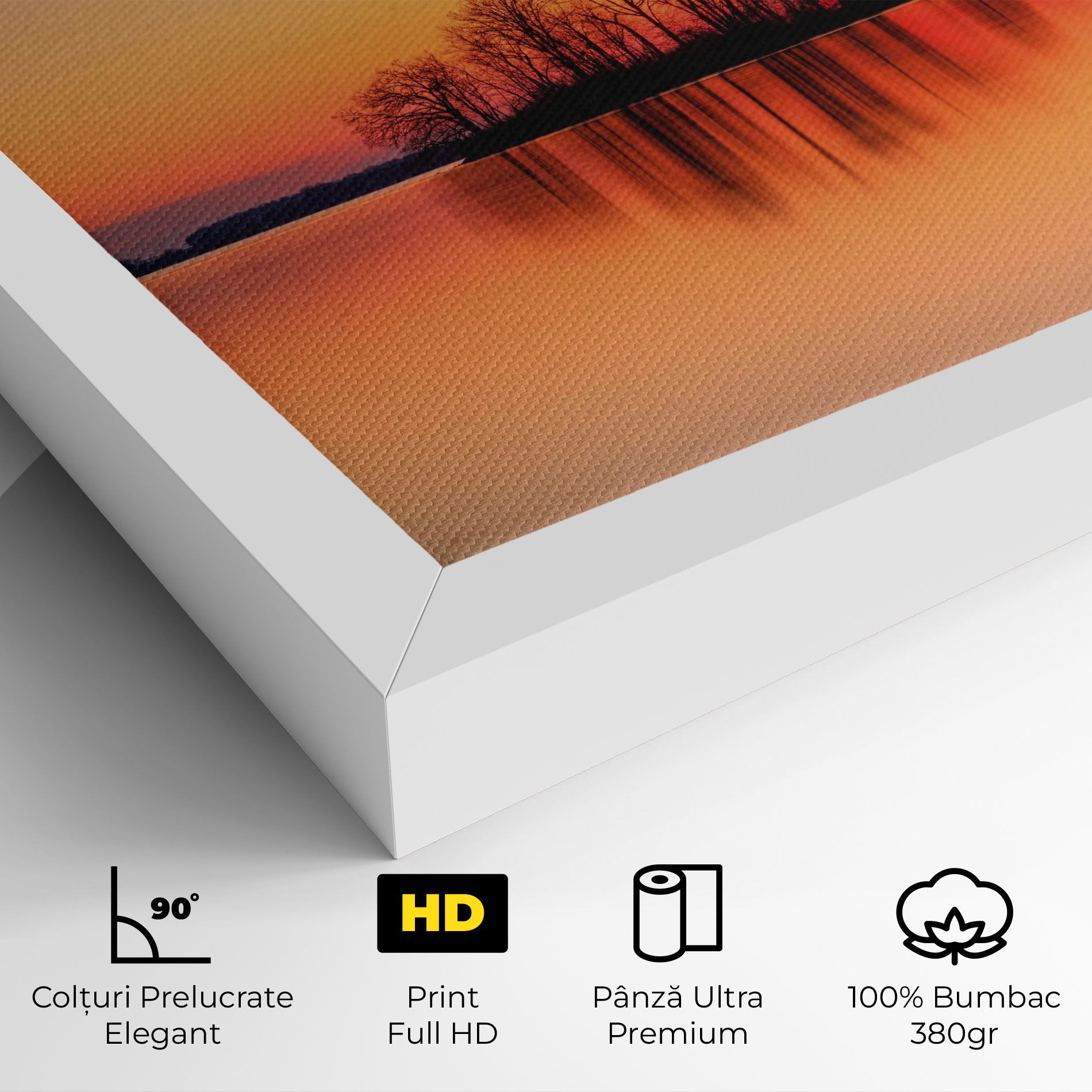 Tree Sunset Lake mockup 4