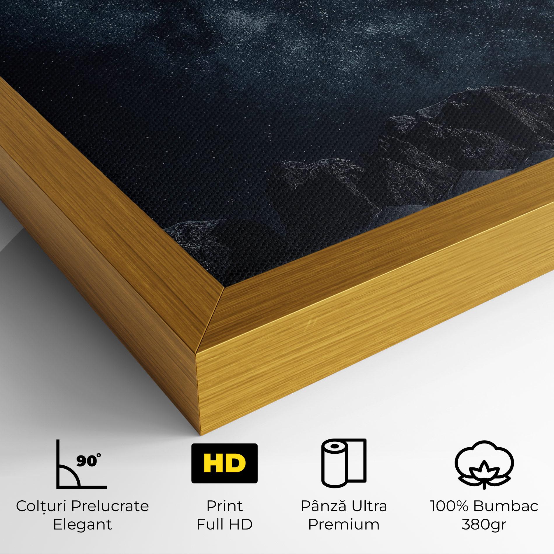 Tablou Canvas Galactic Sky mockup 4