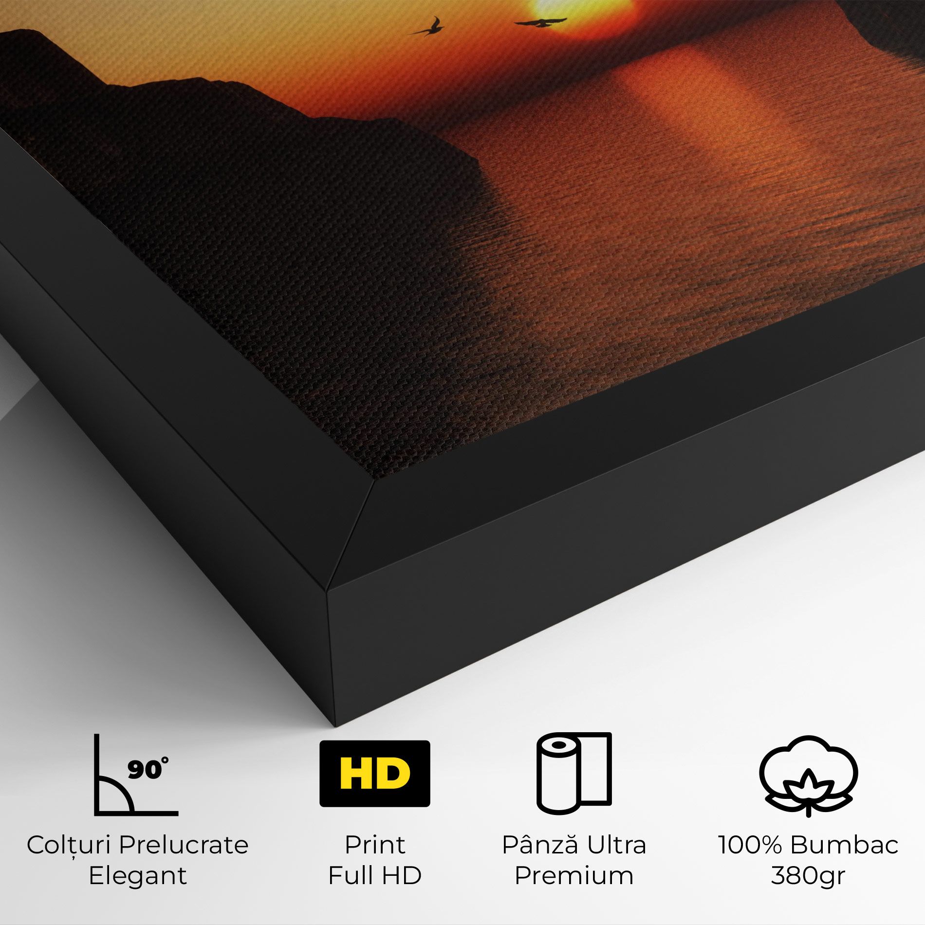 Sunset Silhouette Birds mockup 4