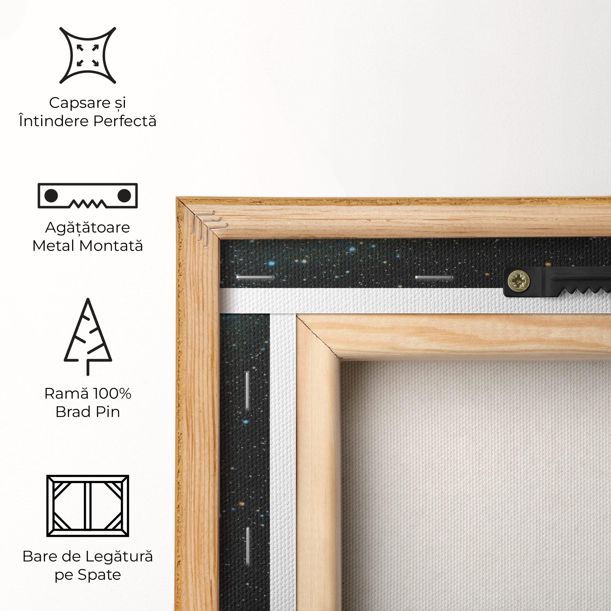 Tablou Canvas Galaxy Stars mockup 5