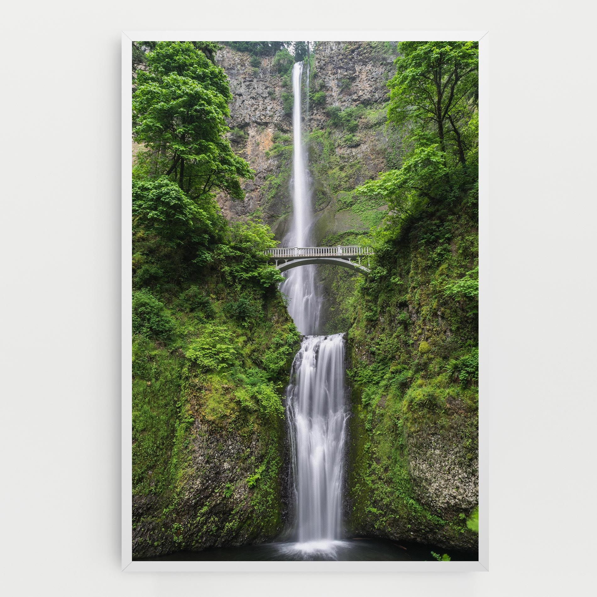 Green Leaves Bridge View mockup 0