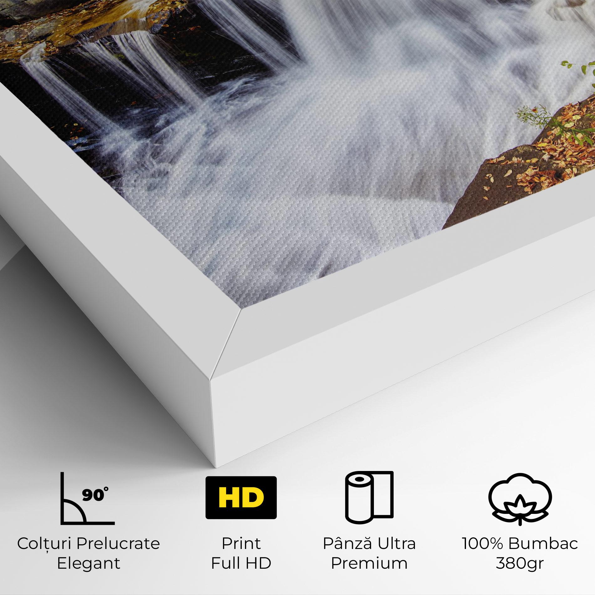 Tablou Canvas Pretty Autumn Waterfall mockup 4