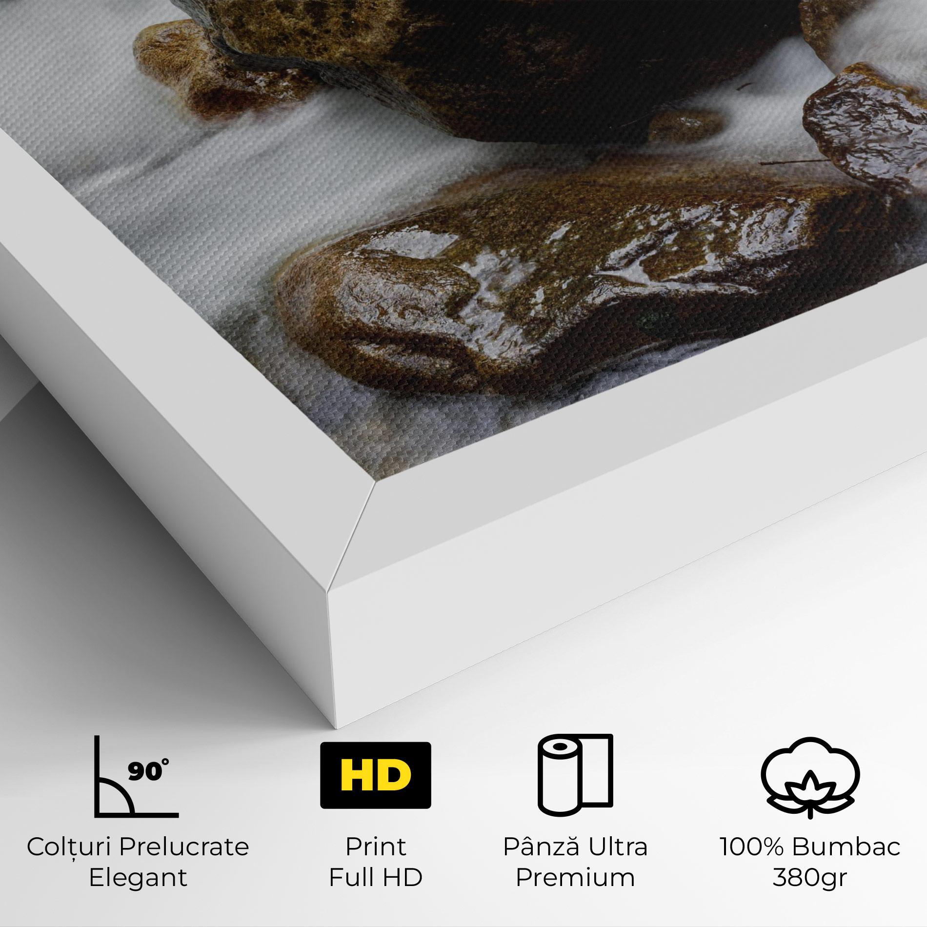Tablou Canvas Shiny Rocks Waterfall mockup 4