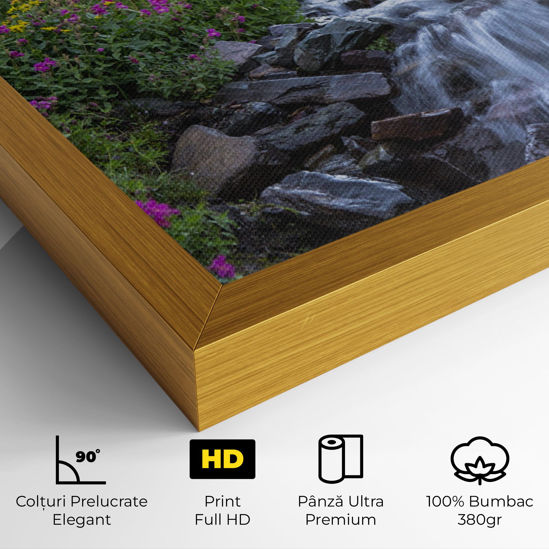 Purple Field Waterfall mockup 4