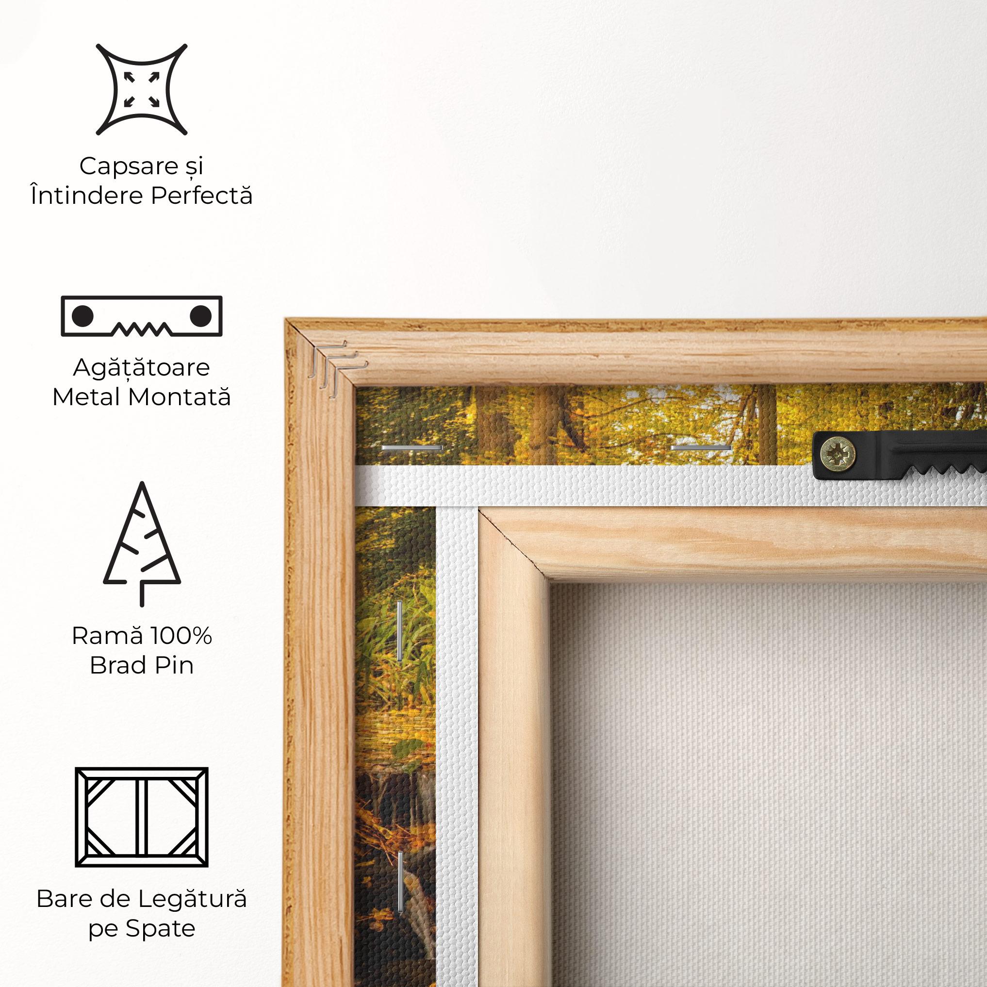 Tablou Canvas Autumn Pretty Waterfall mockup 5