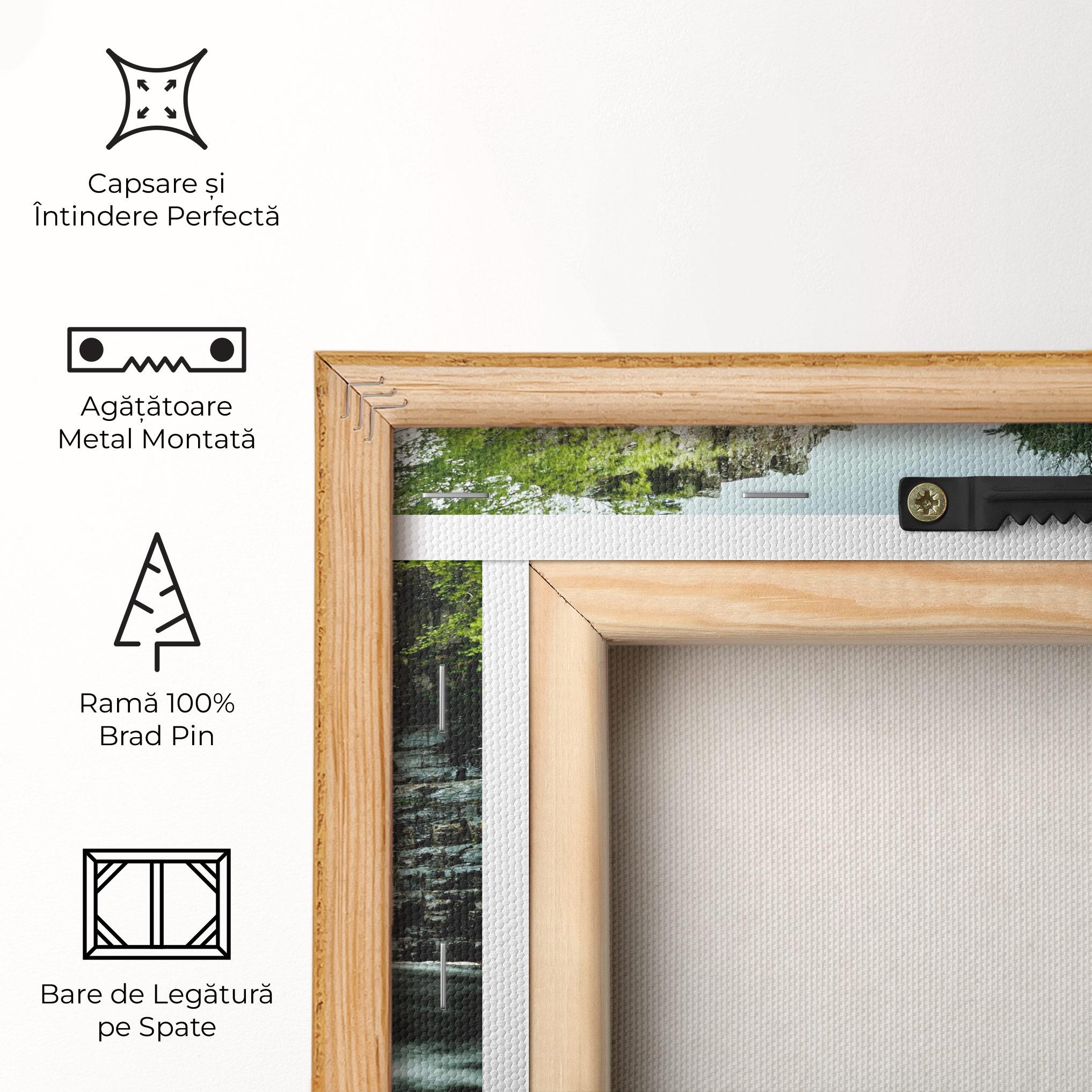 Tablou Canvas Beautiful Water Falling mockup 5