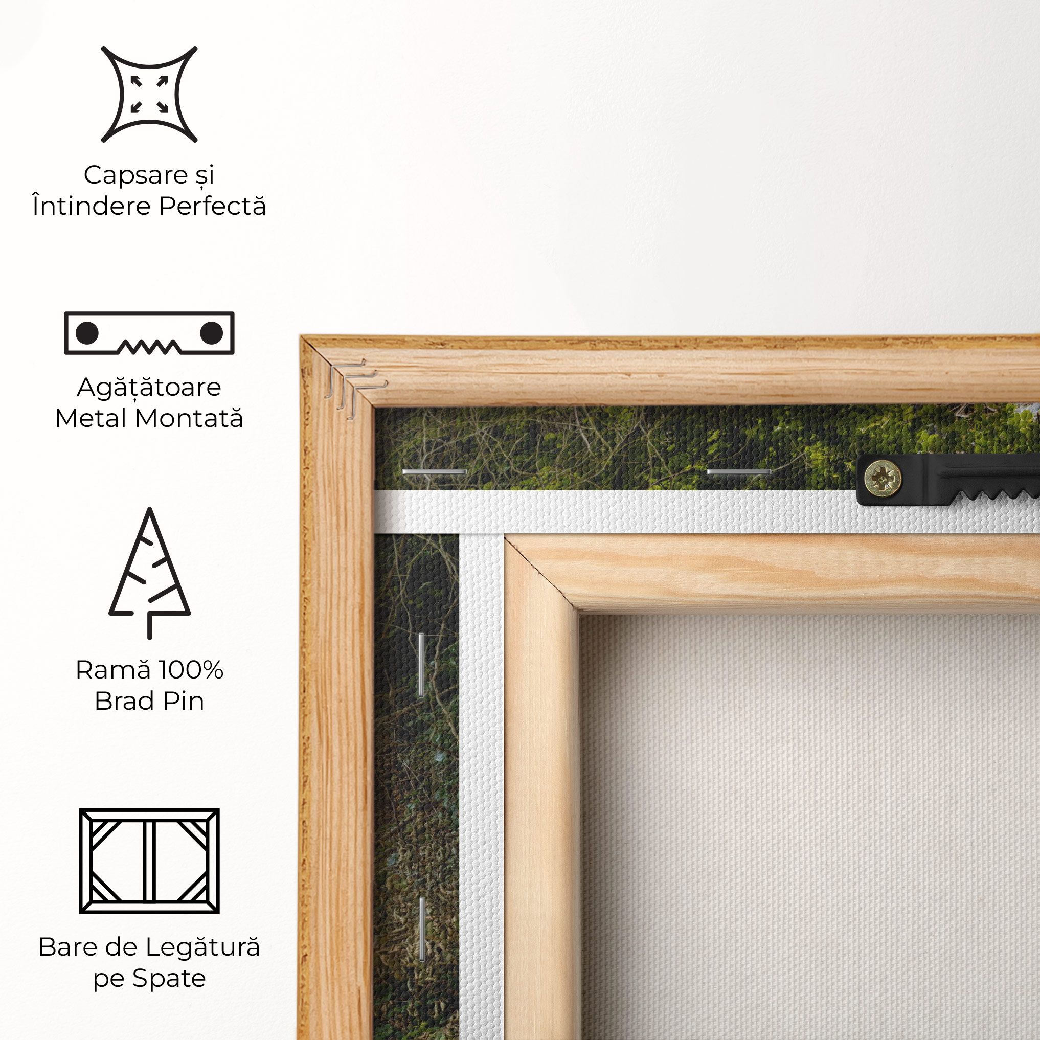 Forest Waterfall View mockup 5