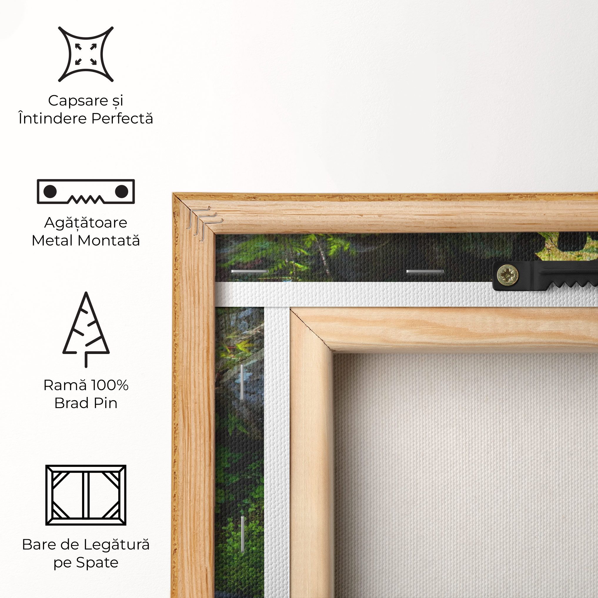 Jungle View Waterfall mockup 5